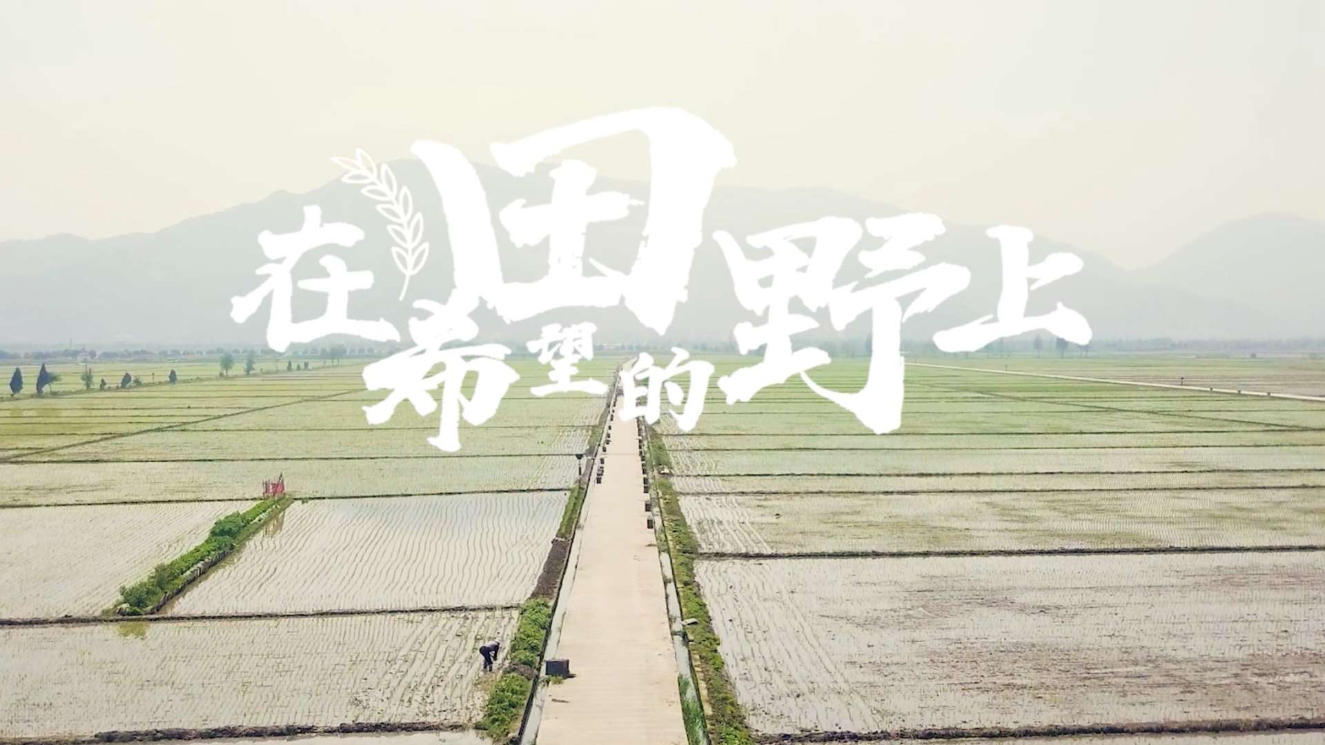 #共同富裕#国家电网温州微光系列影片——在希望的田野上