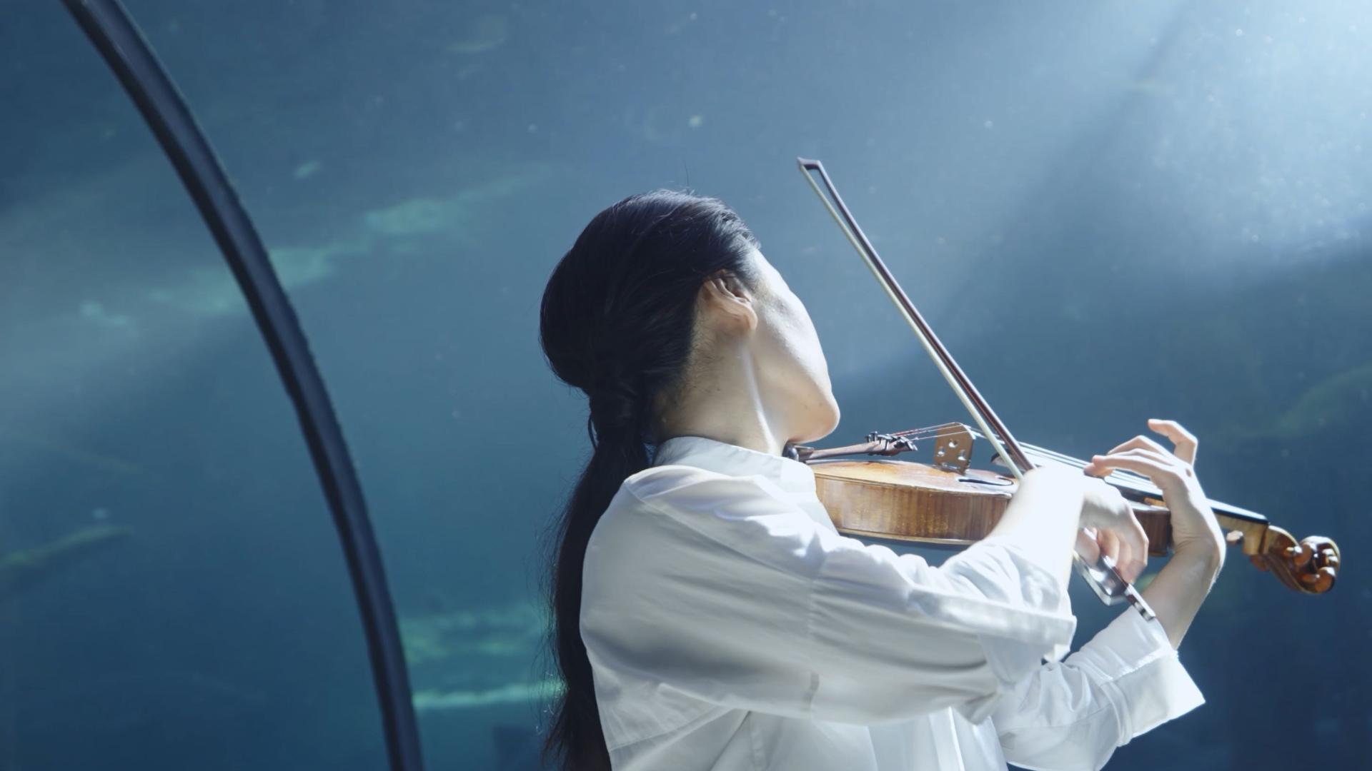 爱乐华声 珠海横琴国际音乐盛典 宣传片 中提琴篇