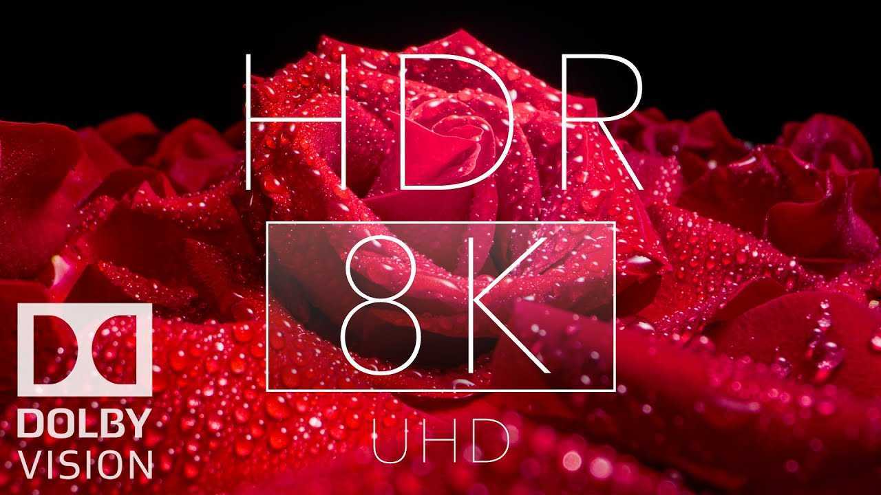 8k HDR杜比视觉下的日常用品