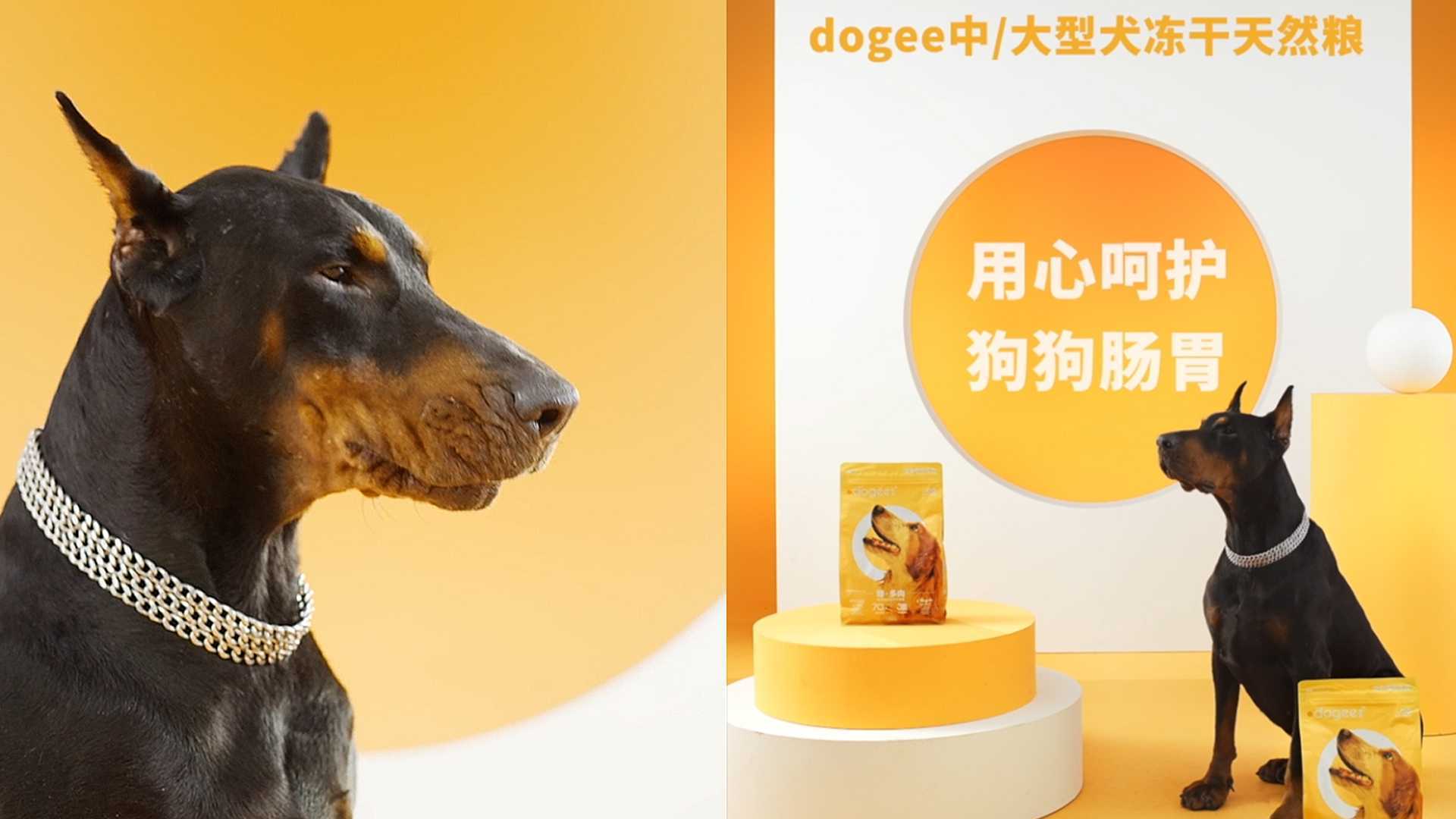 Dogee中大型犬冻干天然粮 | 呵护肠胃 ——微智传媒
