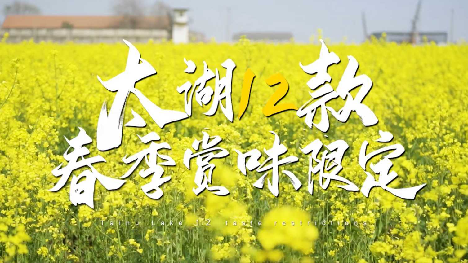 【2021宣传片】太湖国家旅游度假区《12款春季赏味限定》