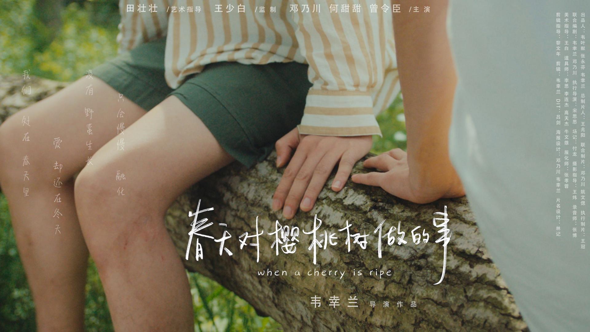 北京电影学院第八届导演奖入围作品《春天对樱桃树做的事》