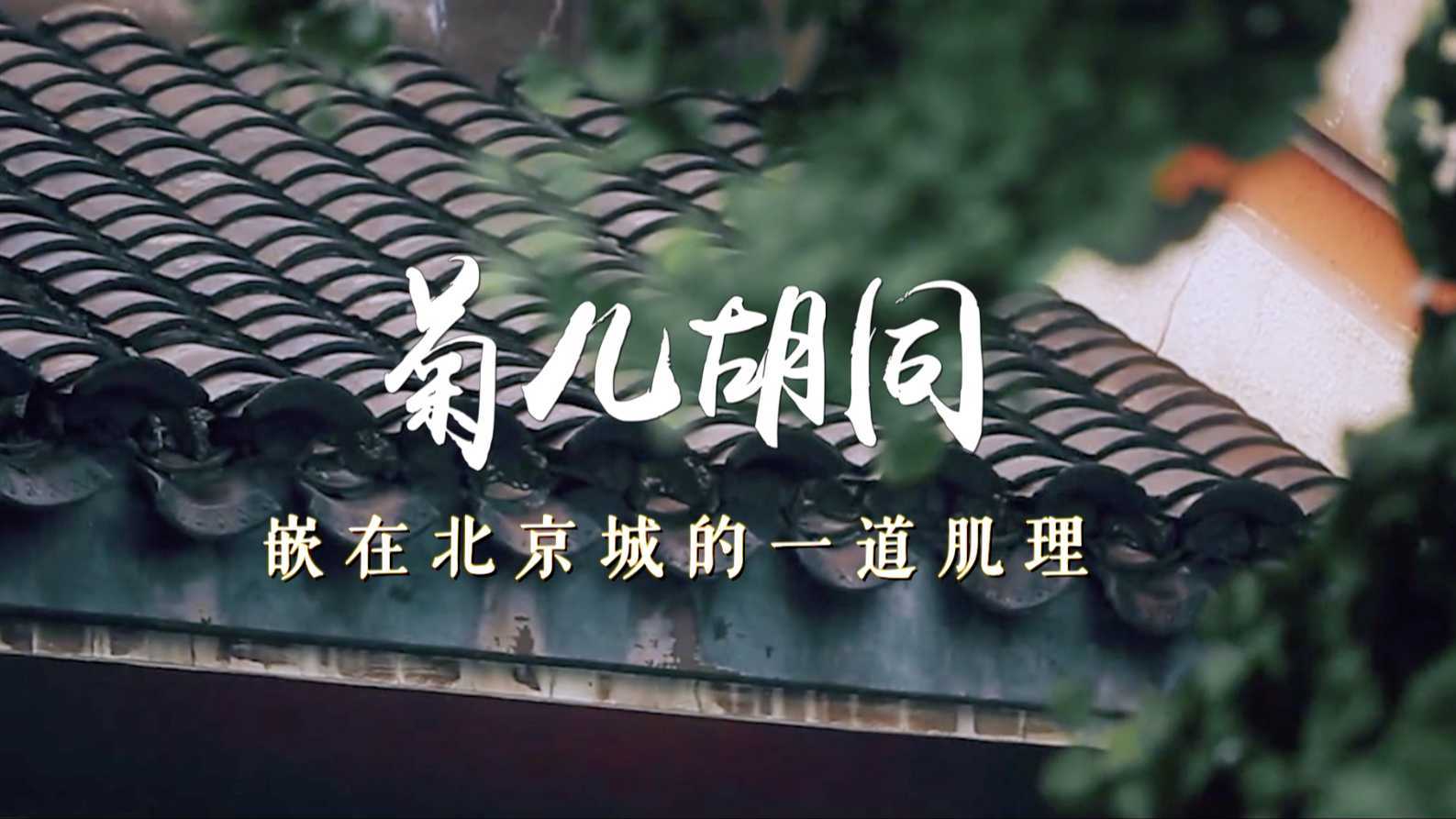 菊儿胡同——嵌在北京城的一道肌理