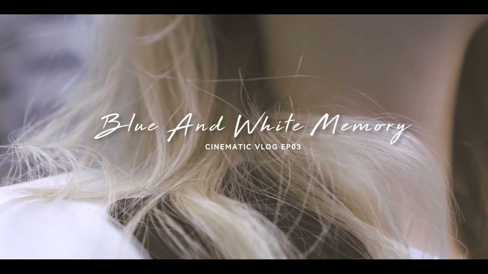 BLUE AND WHITE MEMORY | 蓝白回忆