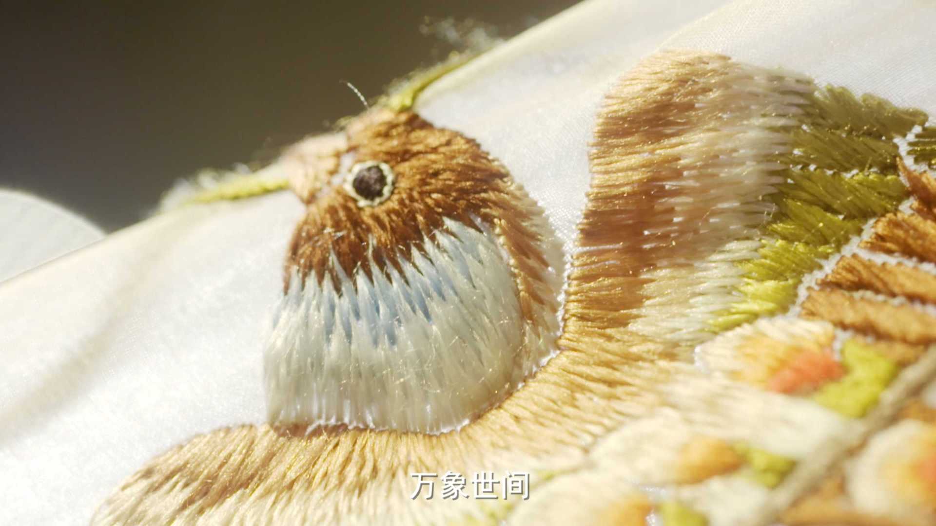 《衣尚中国》——锦绣之美 先导片