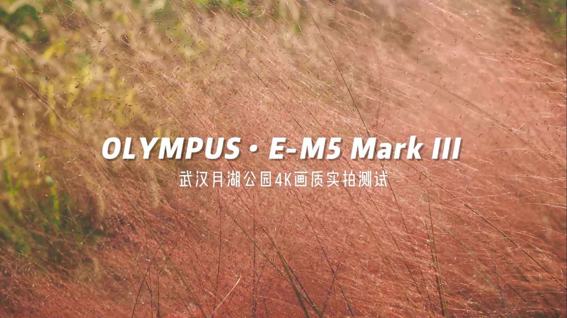 OLYMPUS • E-M5 III 4K画质实拍测试，M43的画质你觉得怎样？