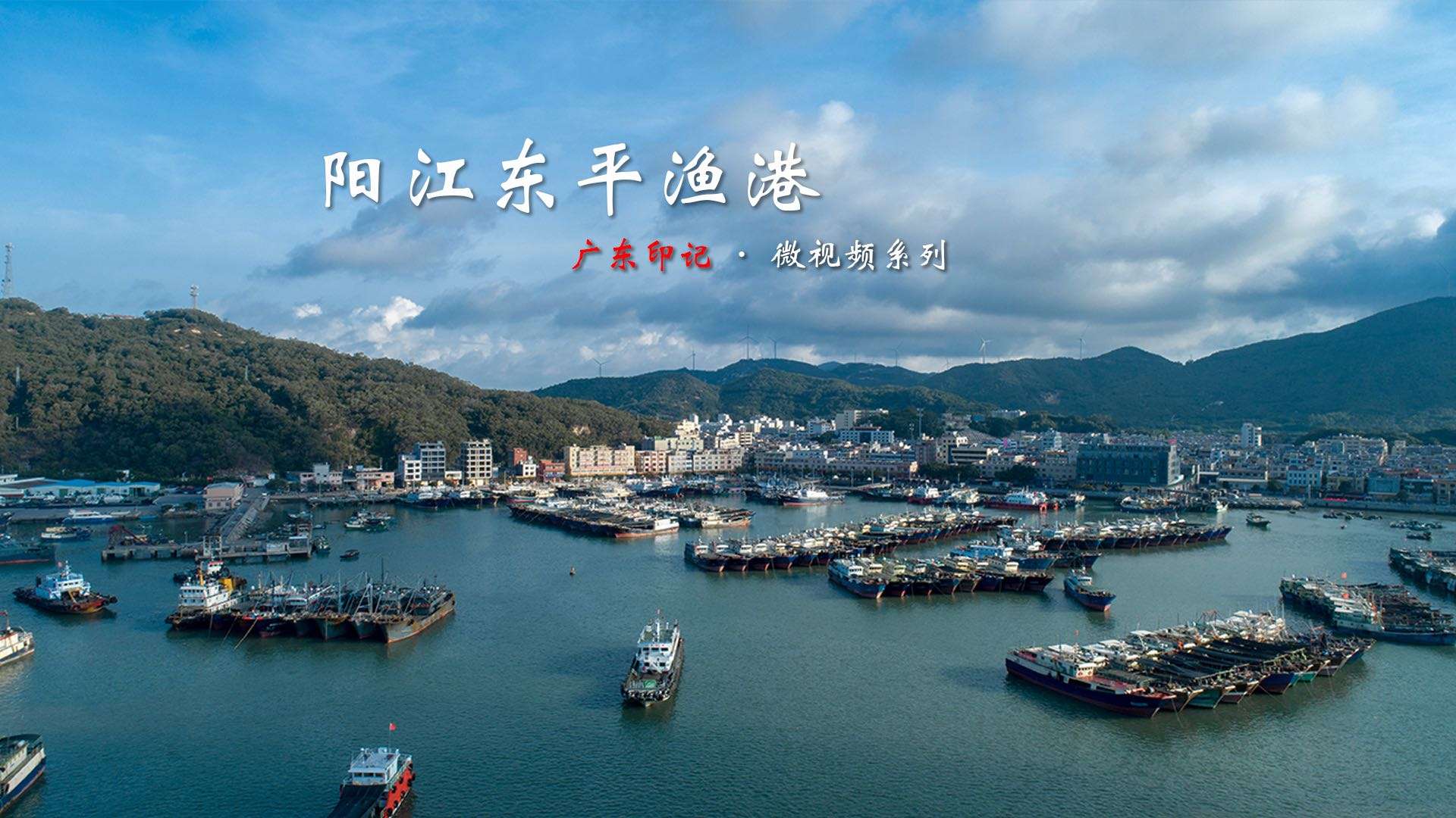 阳江东平渔港：带你了解南粤鱼仓的发展变化