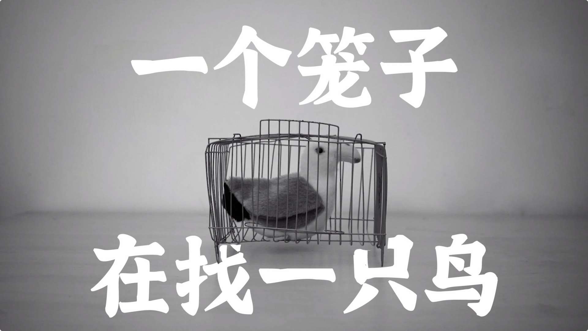 致敬卡夫卡定格动画《一个笼子在找一只鸟》