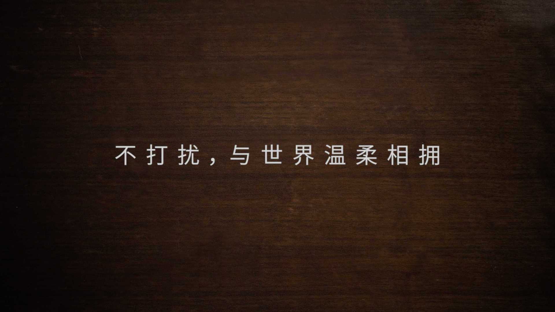 悦刻-不打扰品牌片(内部版本, 非商用）