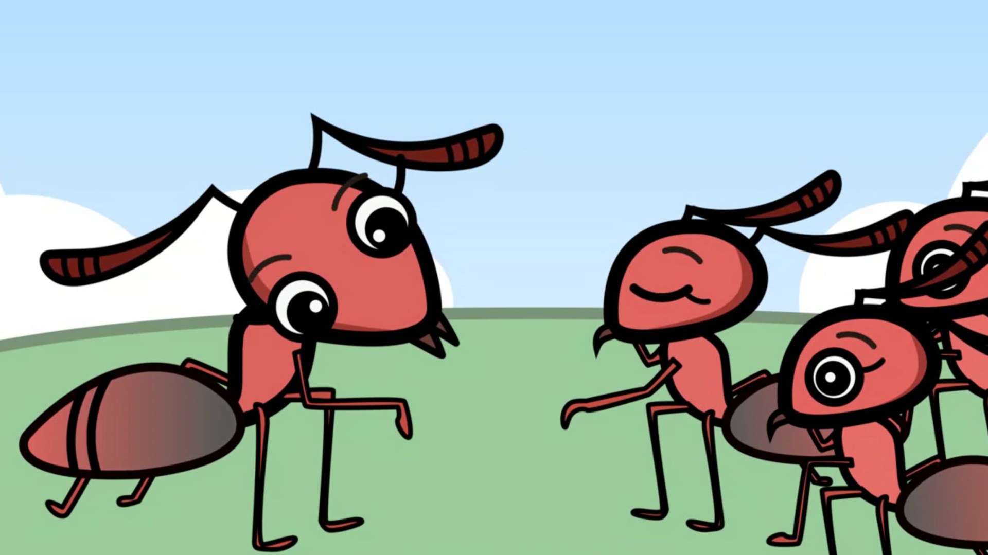 红蚂蚁科普动画|mg动画