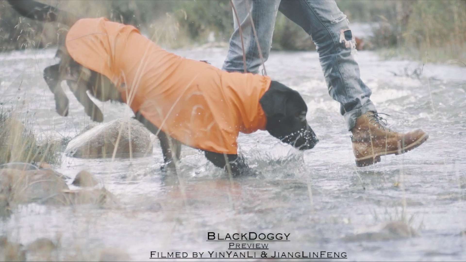 blackdoggy 花絮
