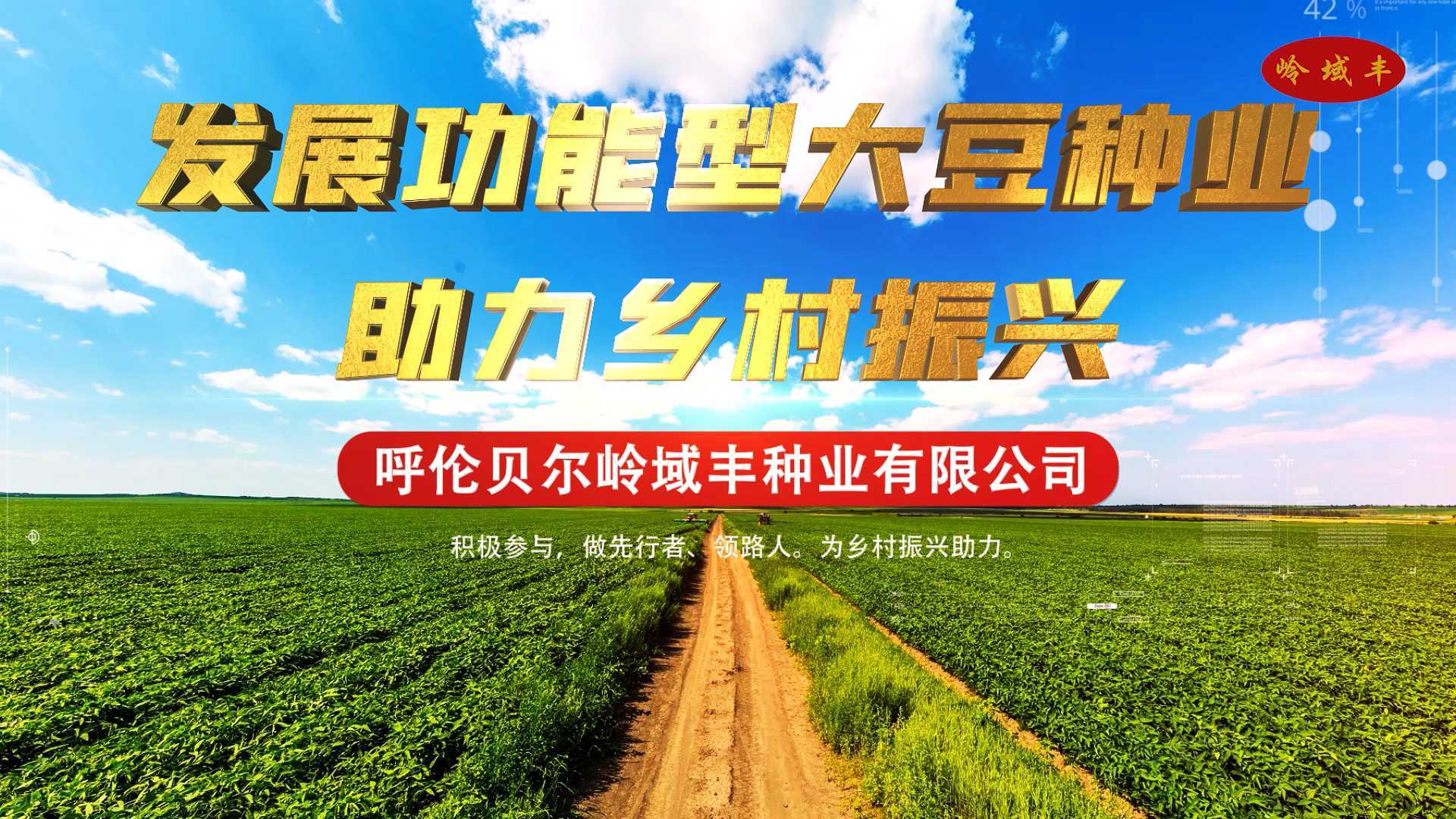 发展功能型大豆种业 助力乡村振兴 呼伦贝尔岭域丰