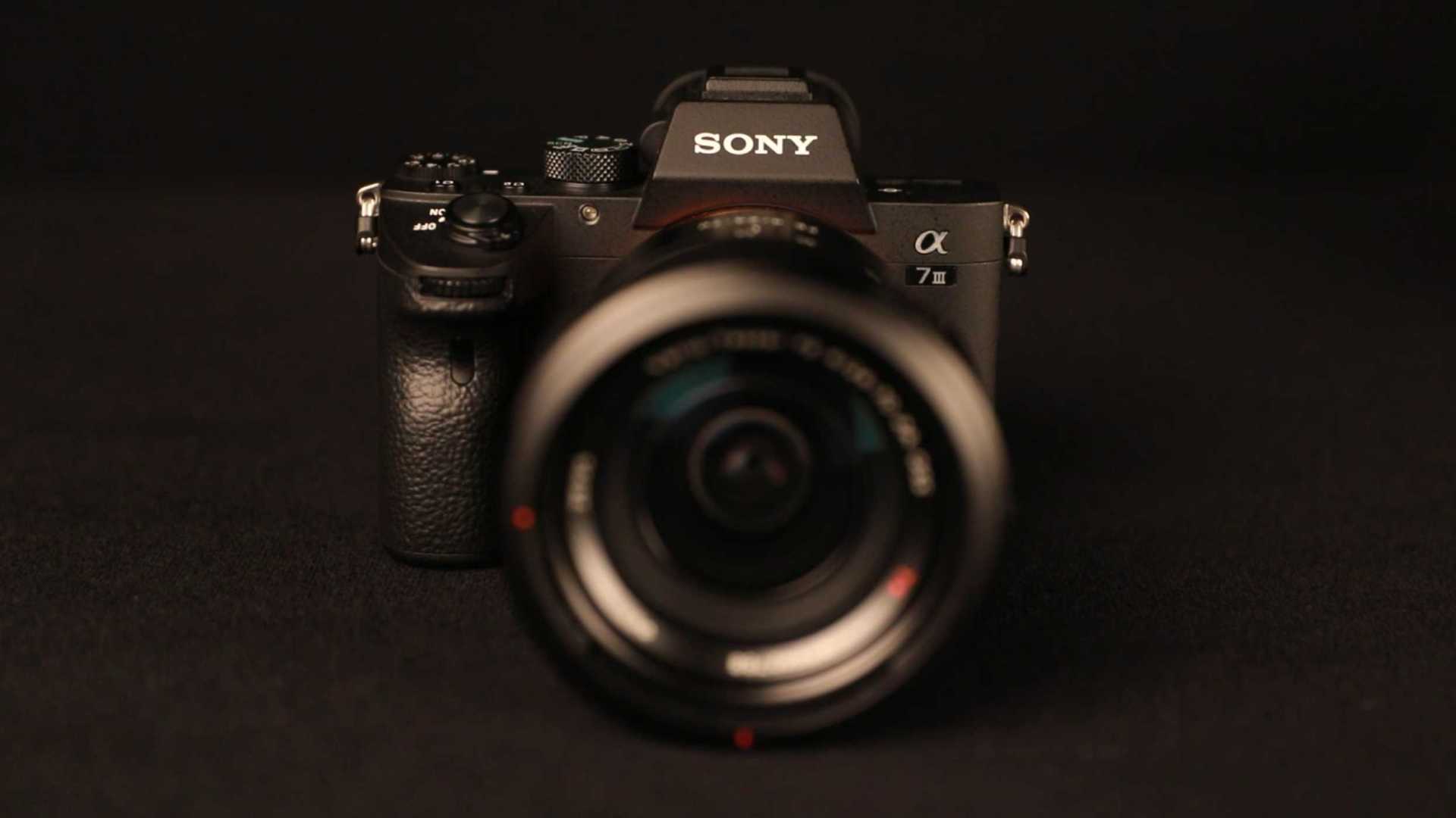 X-S10 and α73
