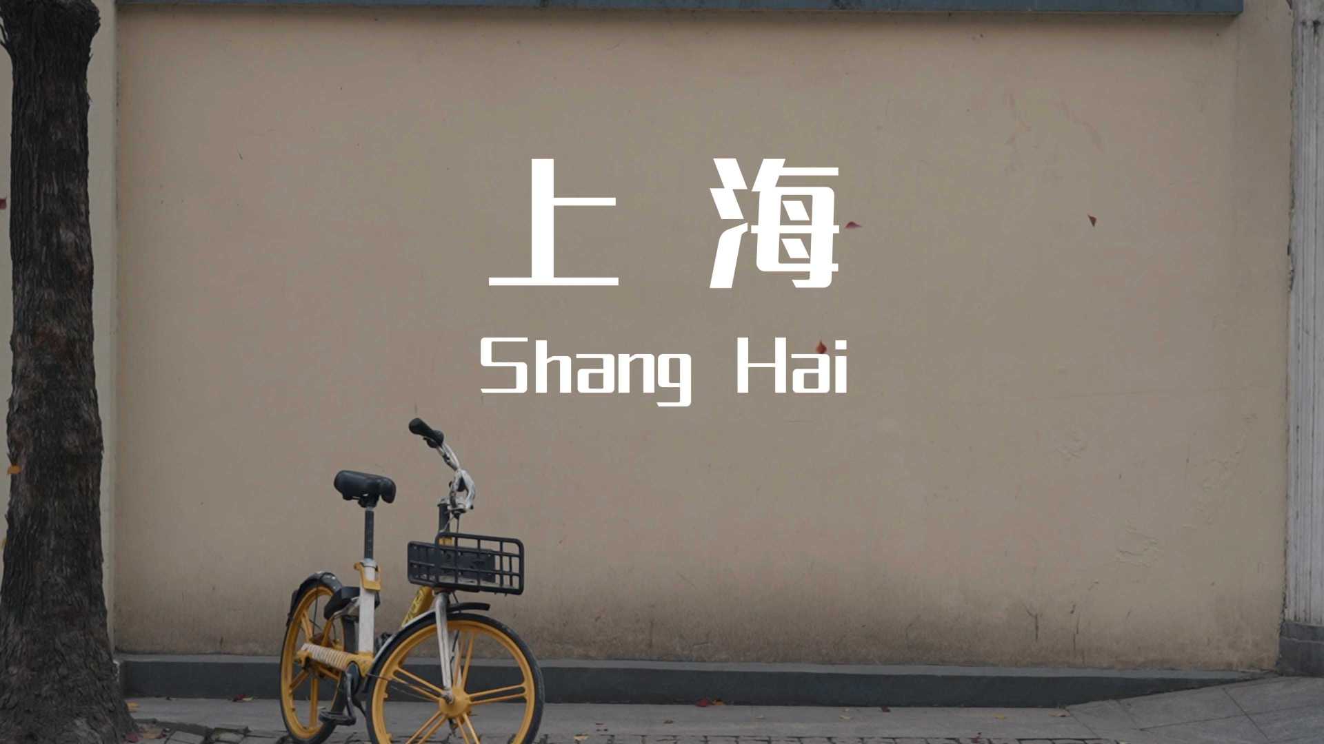 「城市之书」冬季的上海，被梧桐叶包裹着（索尼A7M4）
