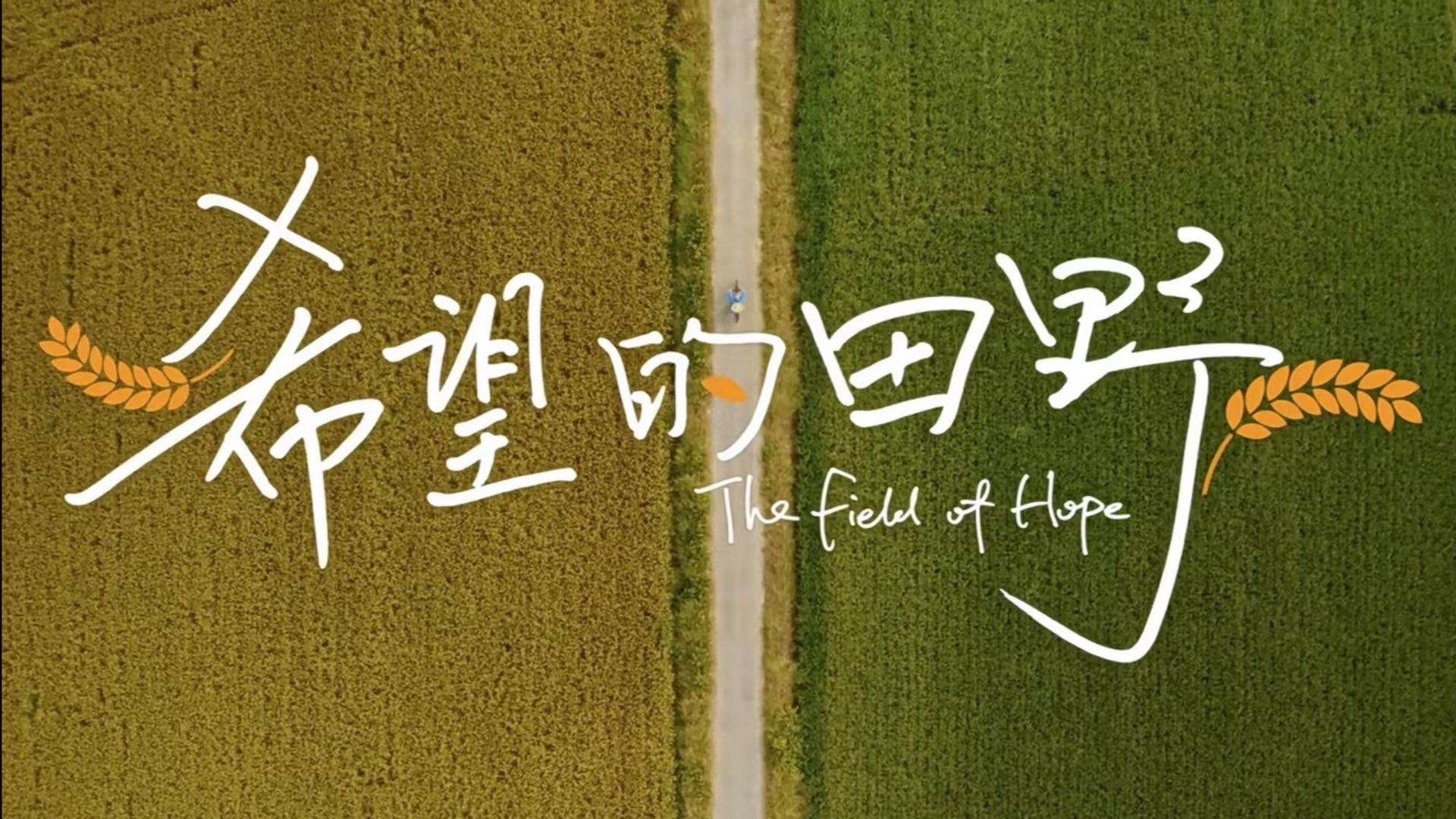 《希望的田野》ShanghaiDaily2021"理想餐桌"计划纪录微电影