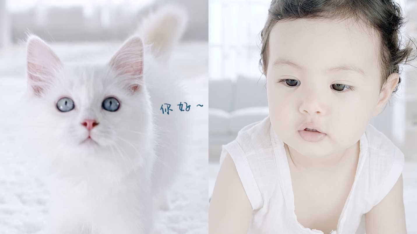 小白猫品牌发布片