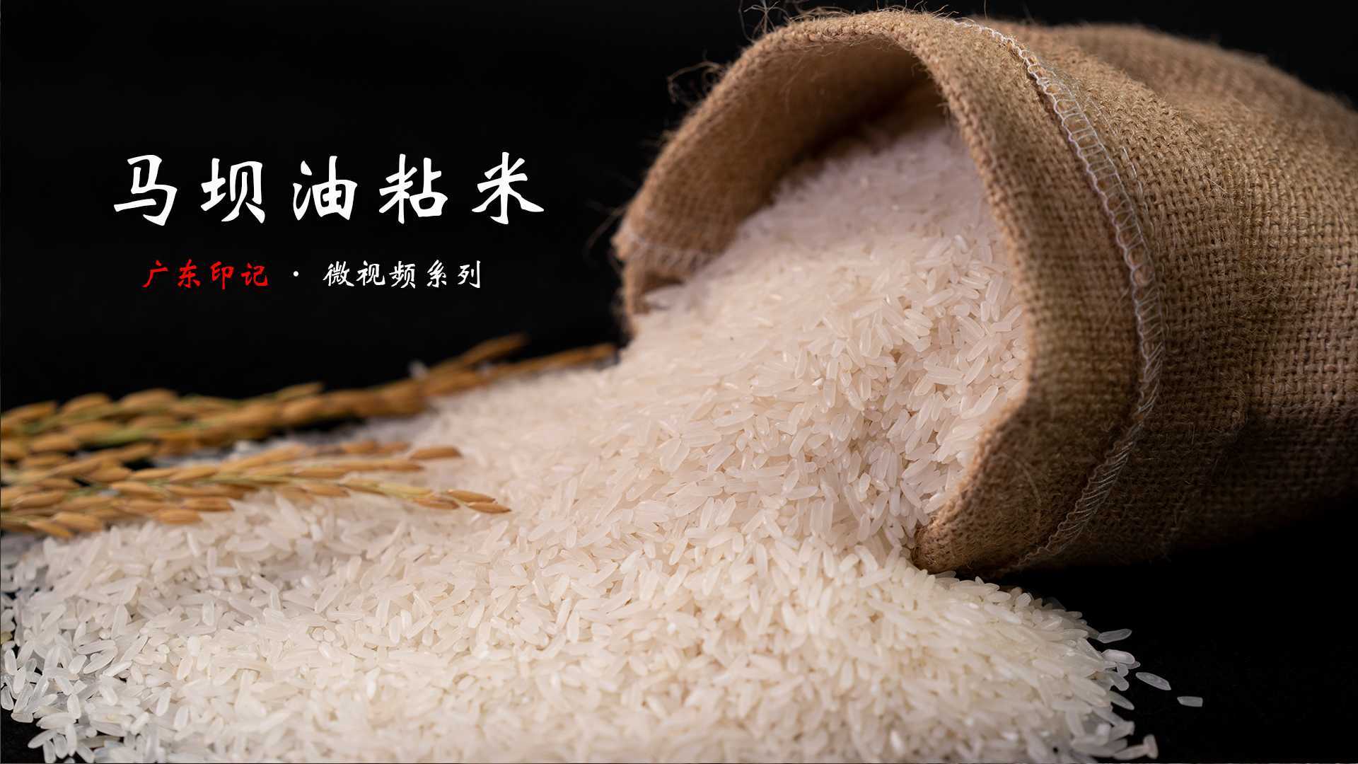 马坝油粘米：粤北马坝 油粘米香