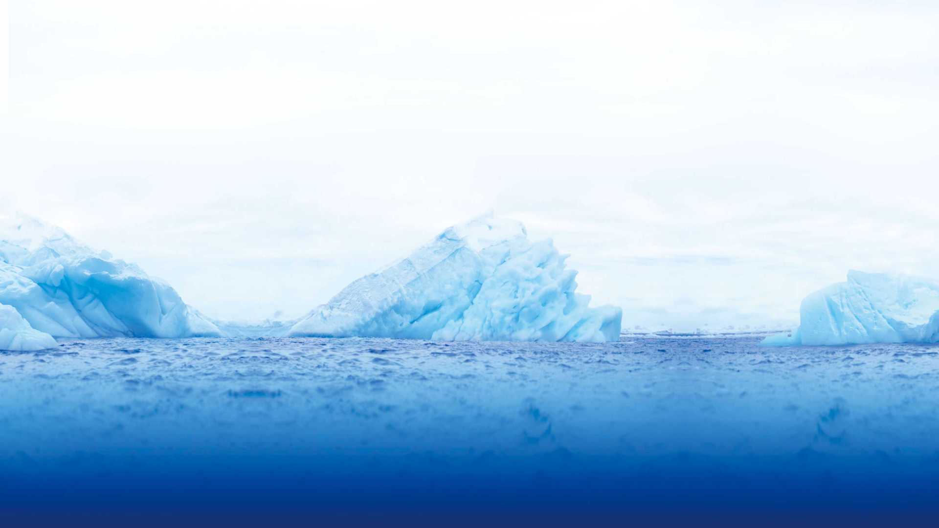 南极限定款面膜