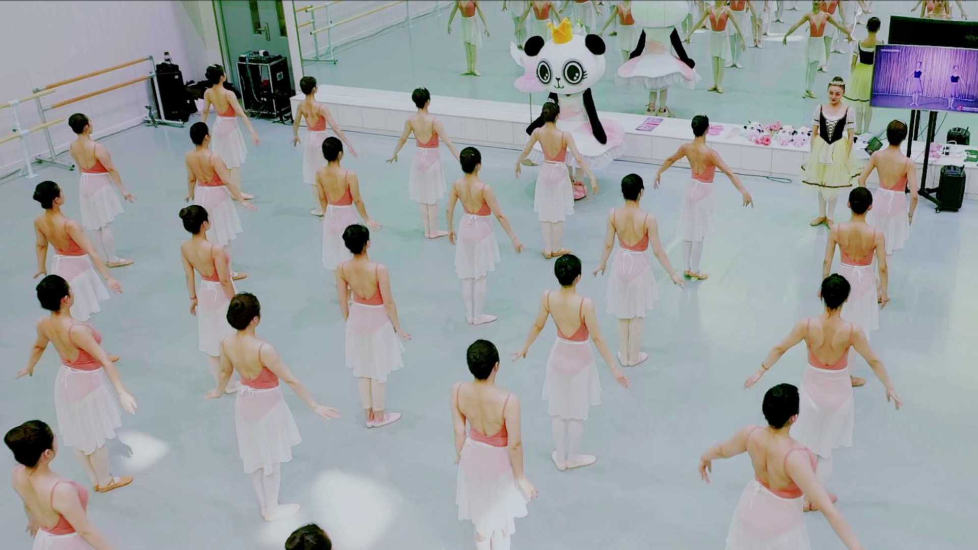 中国文化艺术发展促进会——芭蕾舞专委会教材片