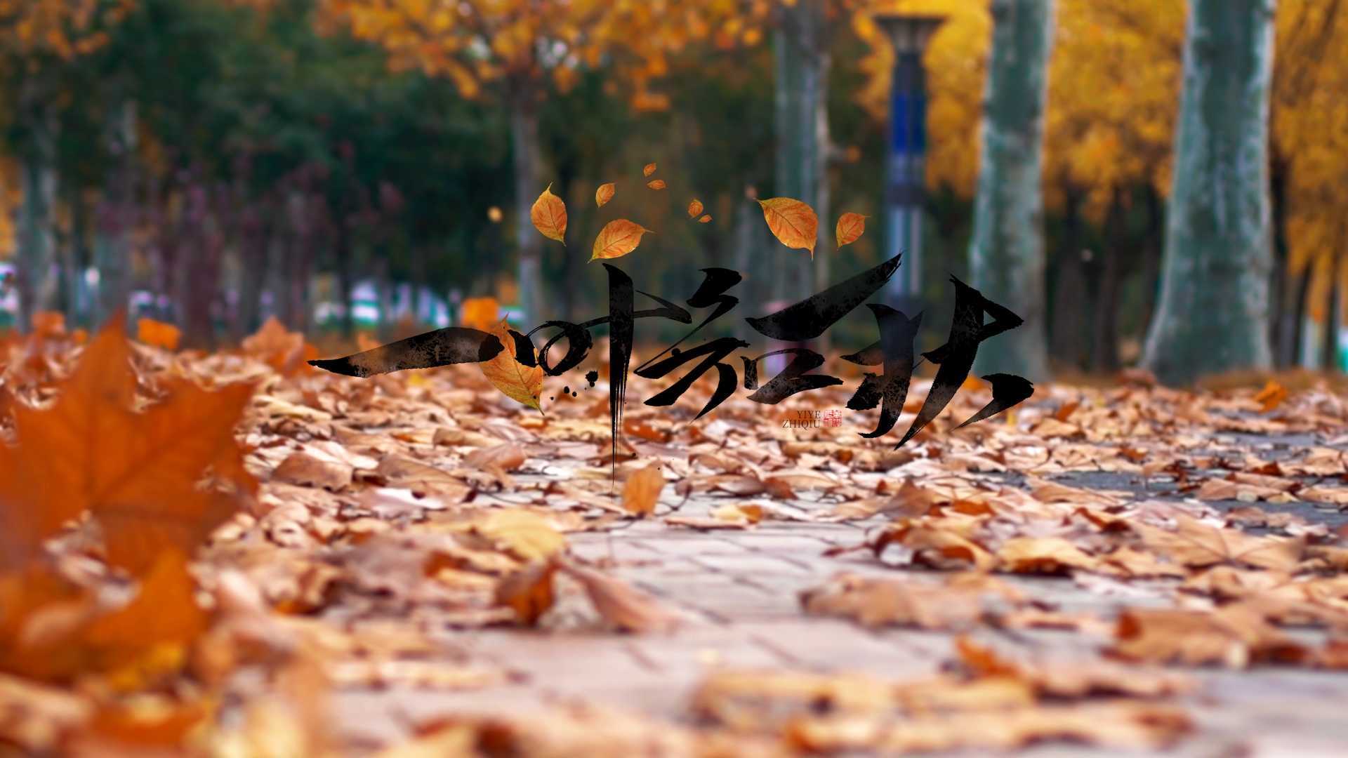 郑州市森林公园 秋季 风光片