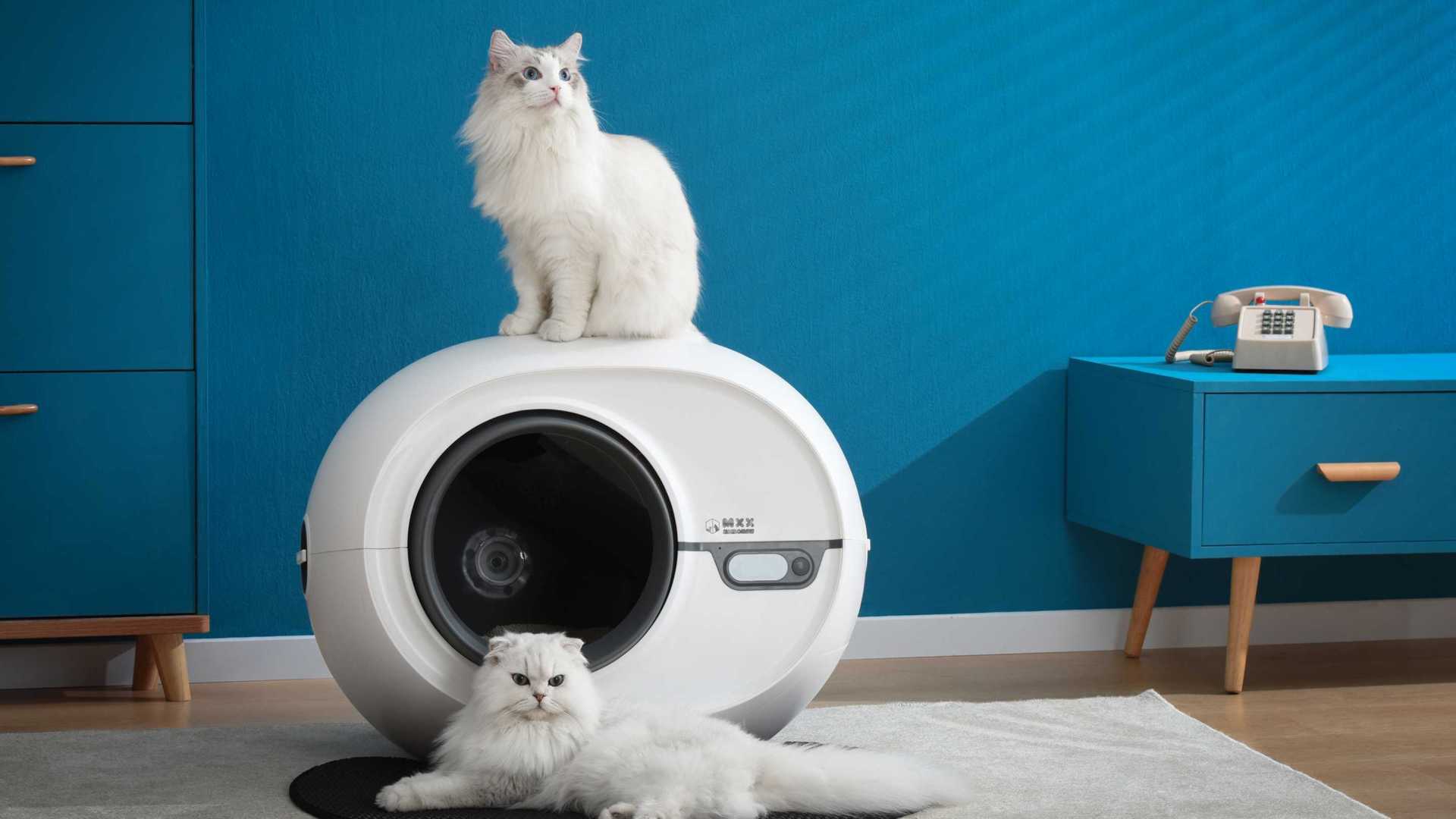 宠物猫砂盆/宠物智能用品/猫厕所广告片