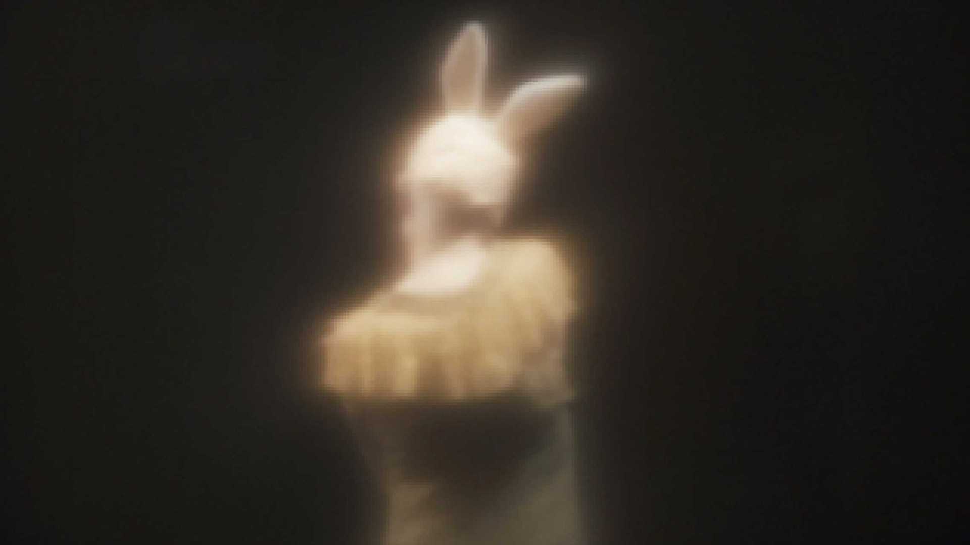大野庆人：如果我变成一只兔子该有多好