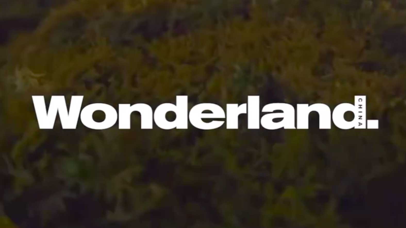 Wonderland | 倪妮 COVER STORY