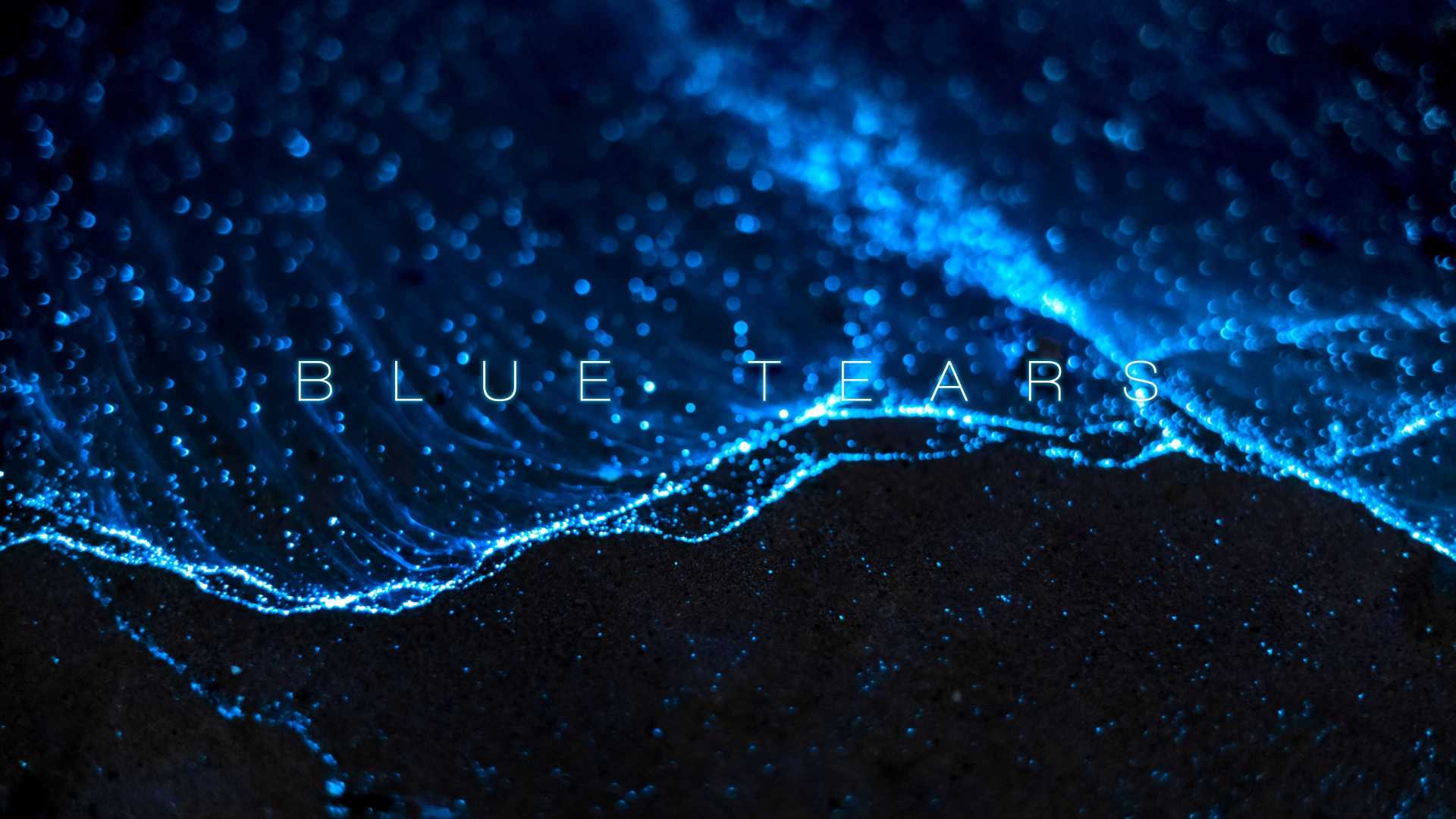 BLUE TEARS——这是平潭真实存在的蓝眼泪