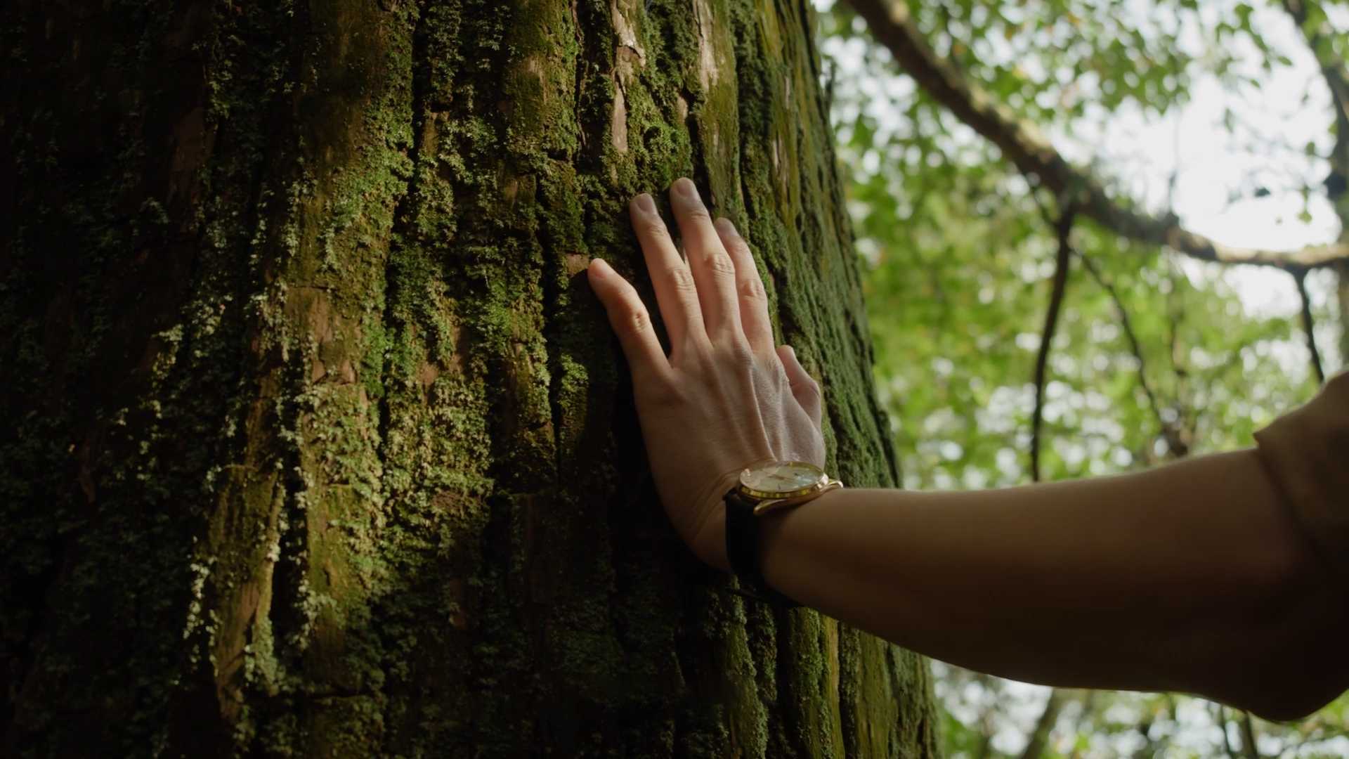 佰斯纳特《信仰自然》坚果品牌的宣传片