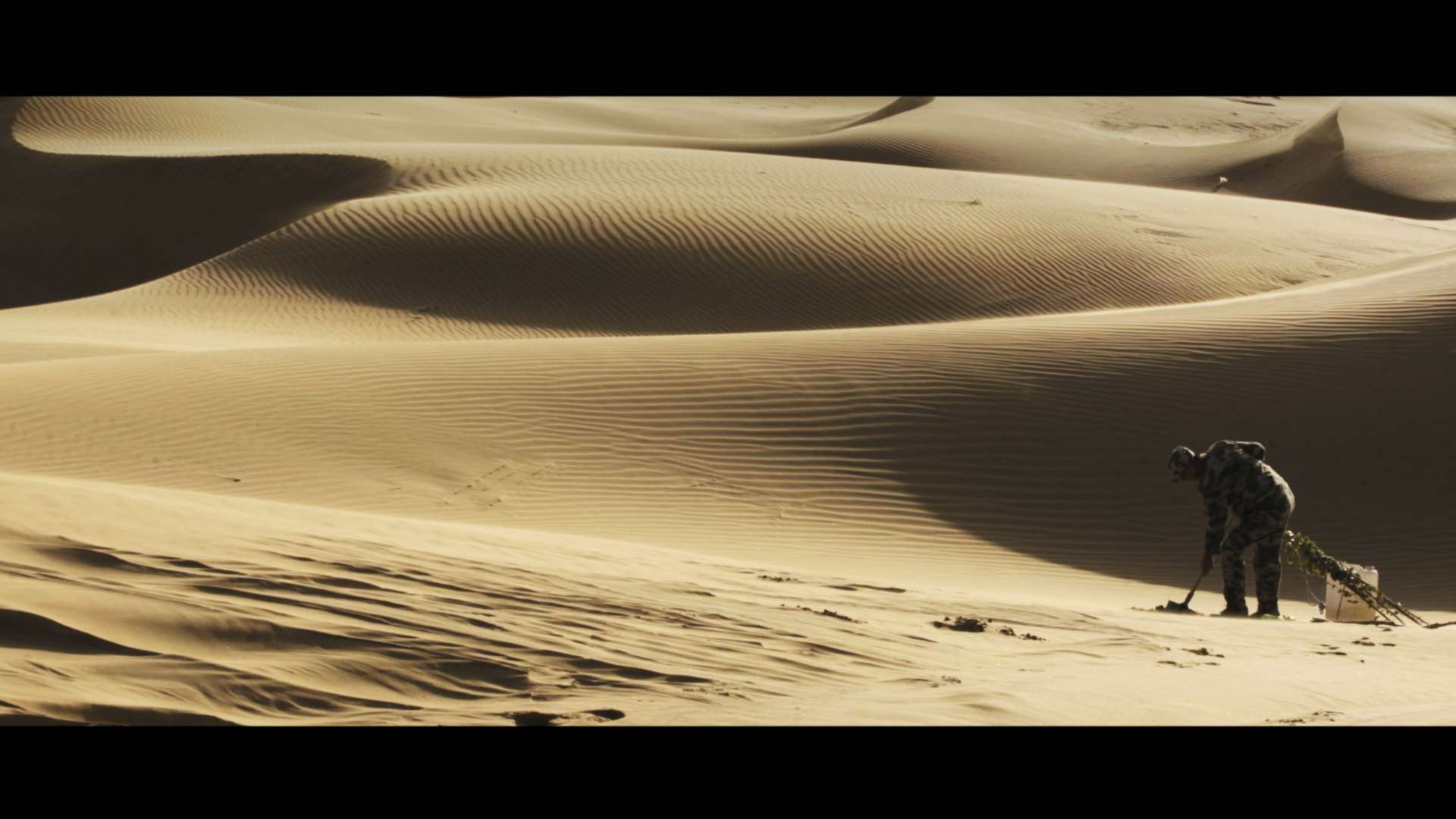 脱贫攻坚——库布齐沙漠