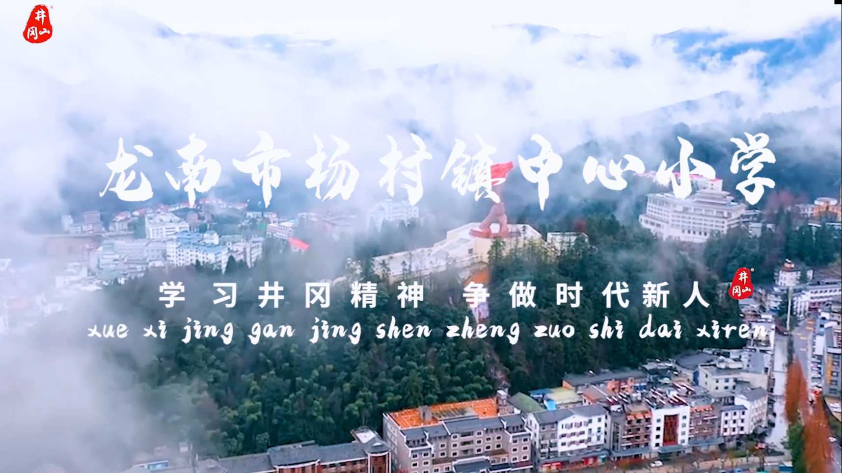 龙南市杨村镇中心小学研学实践视频