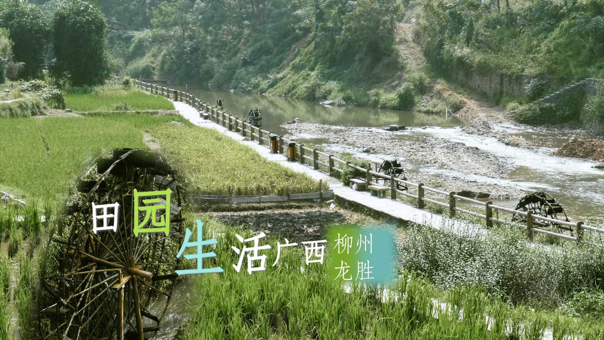 【旅行短片】在田野与水车处寻觅生活|广西|美丽乡村|航拍