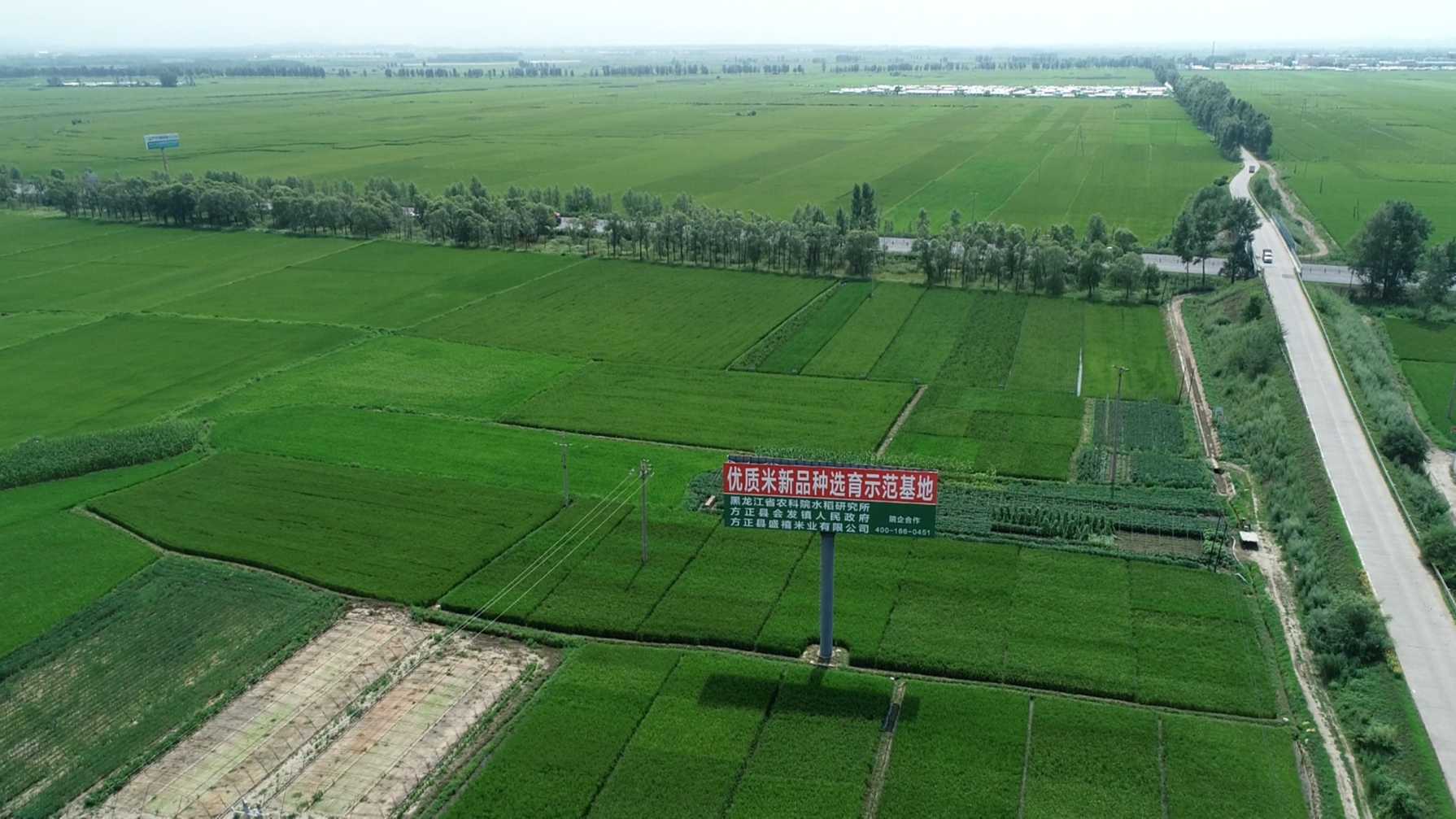 盛禧米业：产业融合促发展 乡村振兴显成效