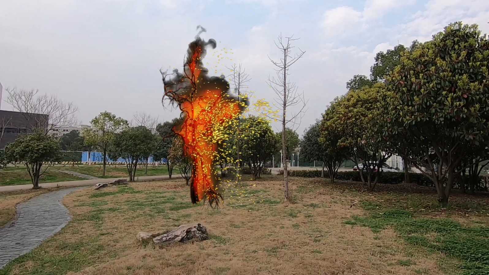 燃烧的树