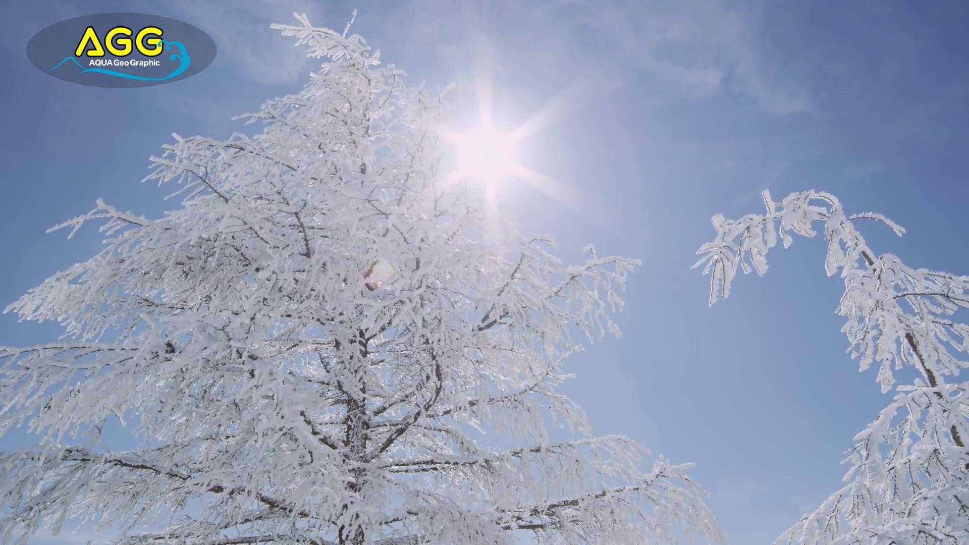 超唯美雪景摄影短片《那片澄澈之地》