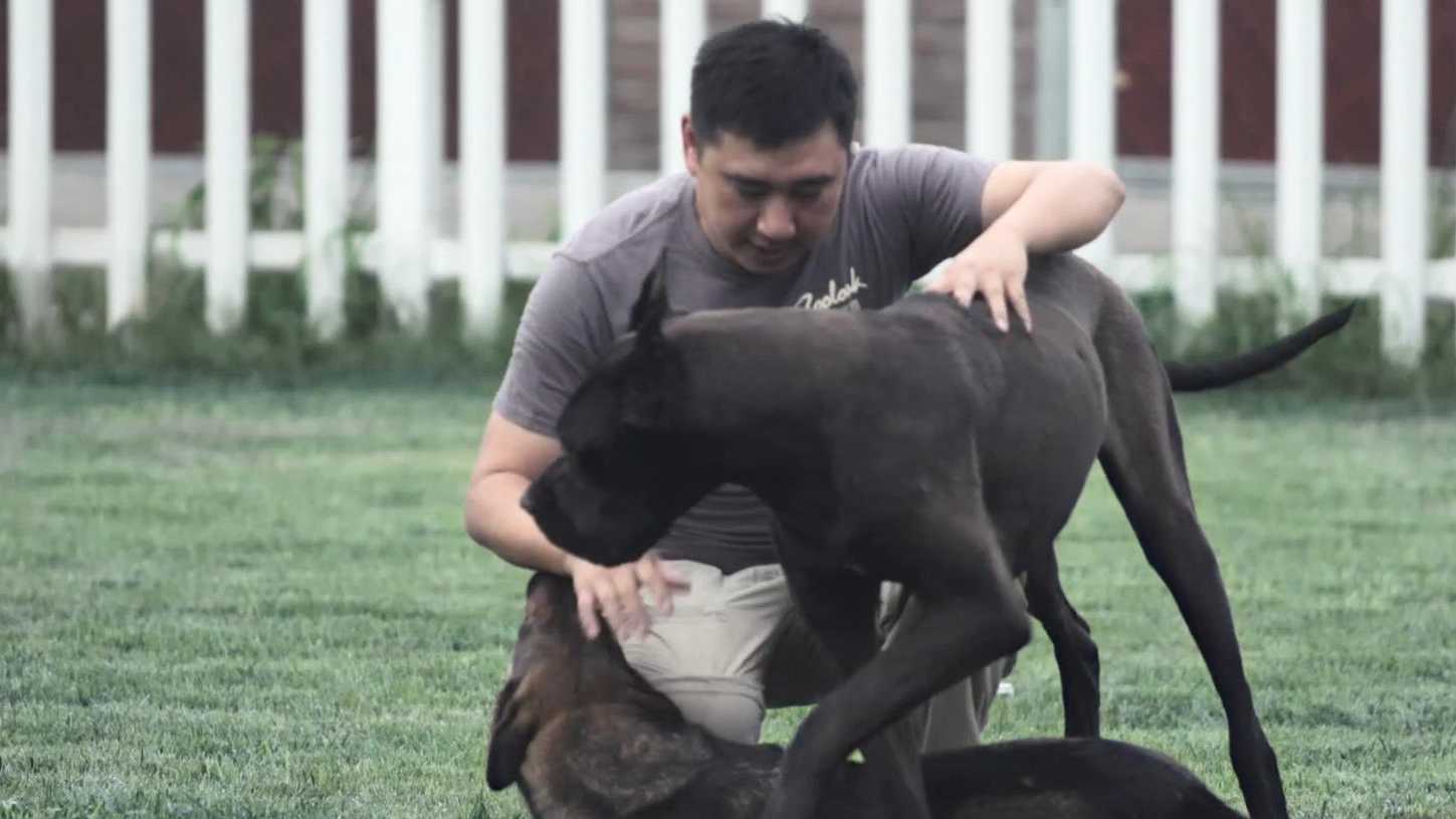 何军：中国最牛逼的宠物培训师
