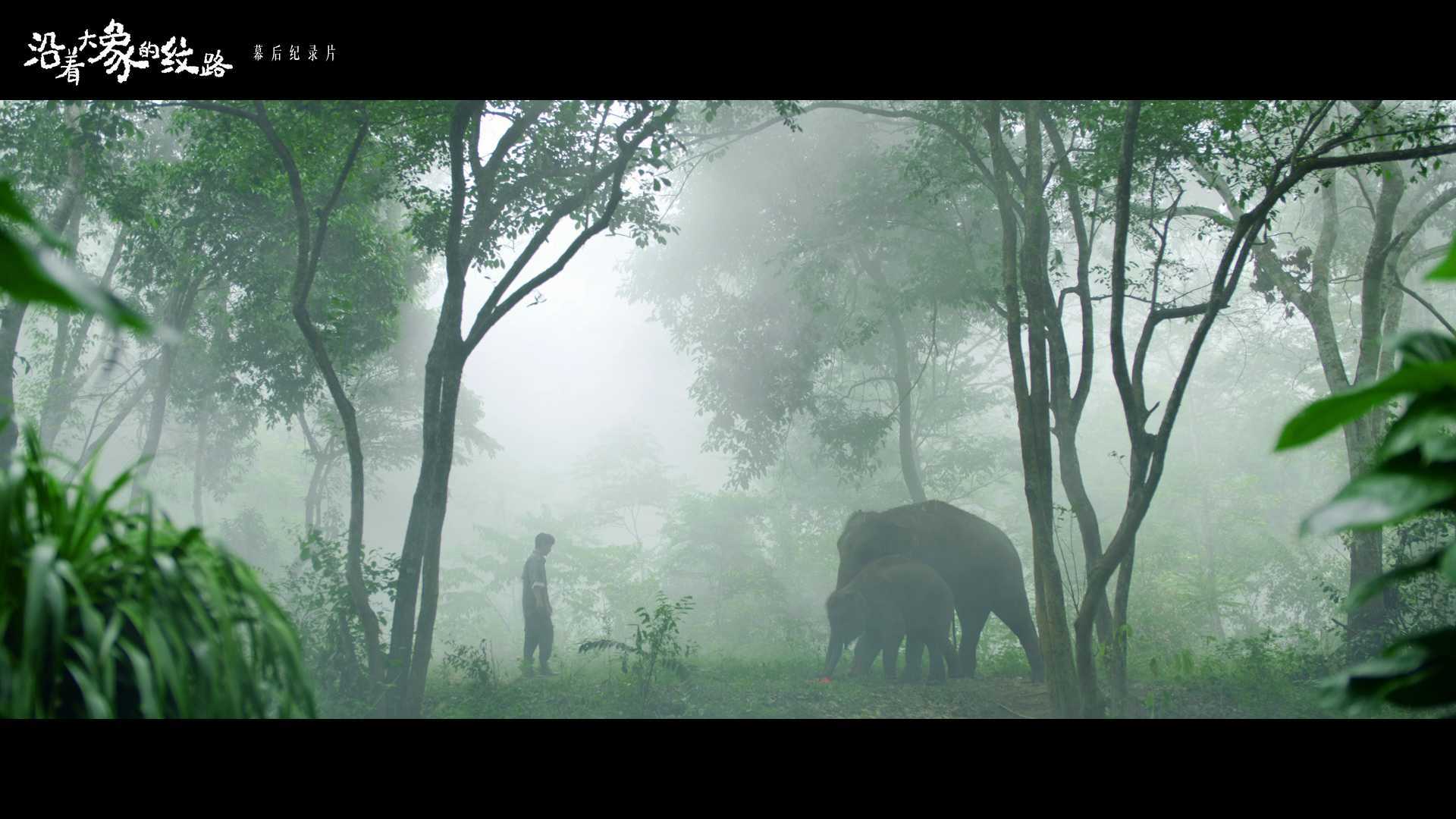 陆川 X 朱一龙 X 欧莱雅 X WWF | 《沿着大象的纹路》纪录片