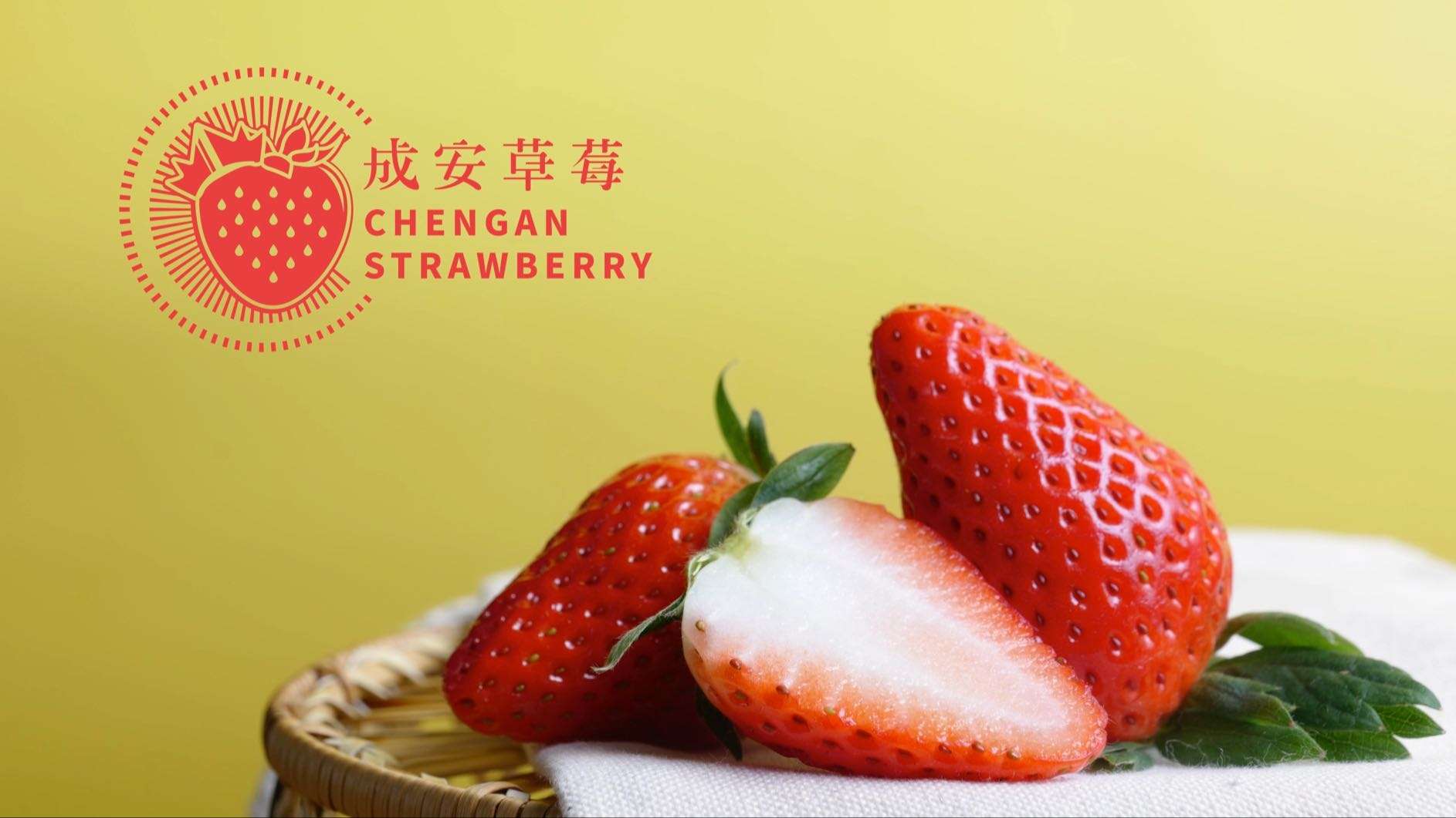 成安草莓宣传片