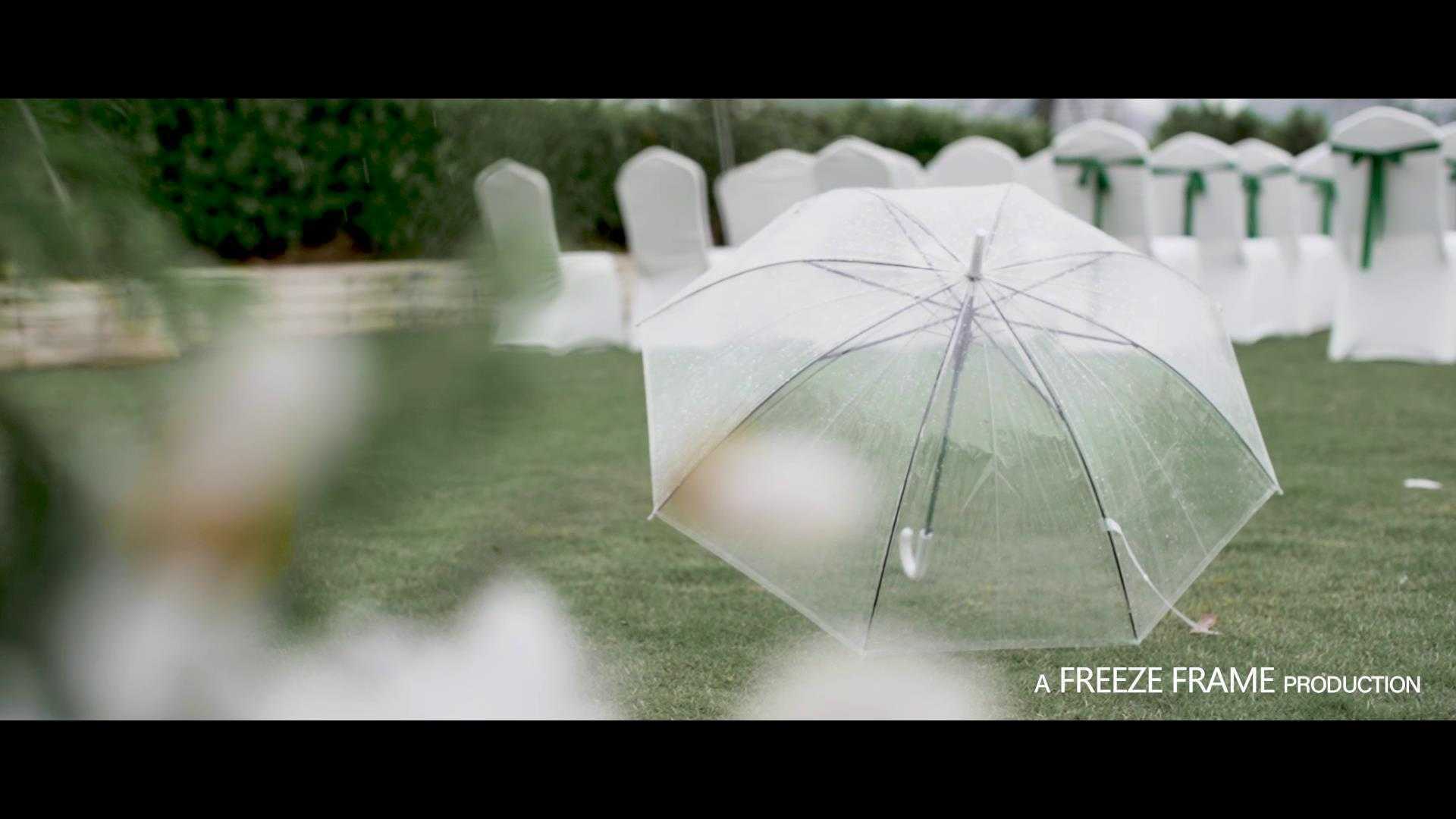 FreezeFrameStudio | 婚礼客片「棕榈泉」