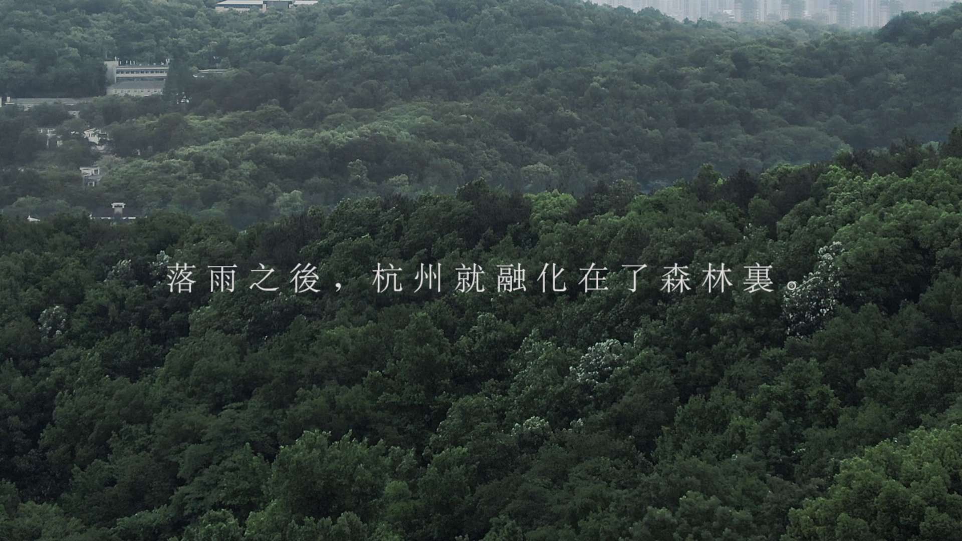 「 落雨之后，杭州就融化在了森林里。」