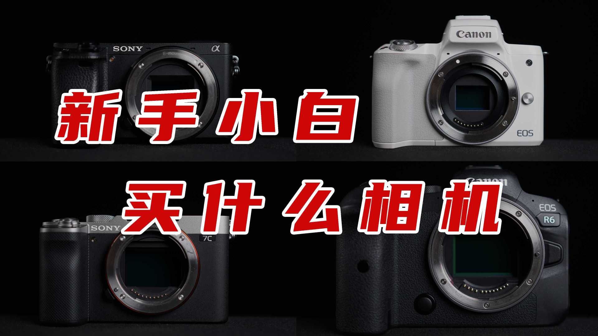 相机 | 新手小白应该买什么相机？2021相机选购指南