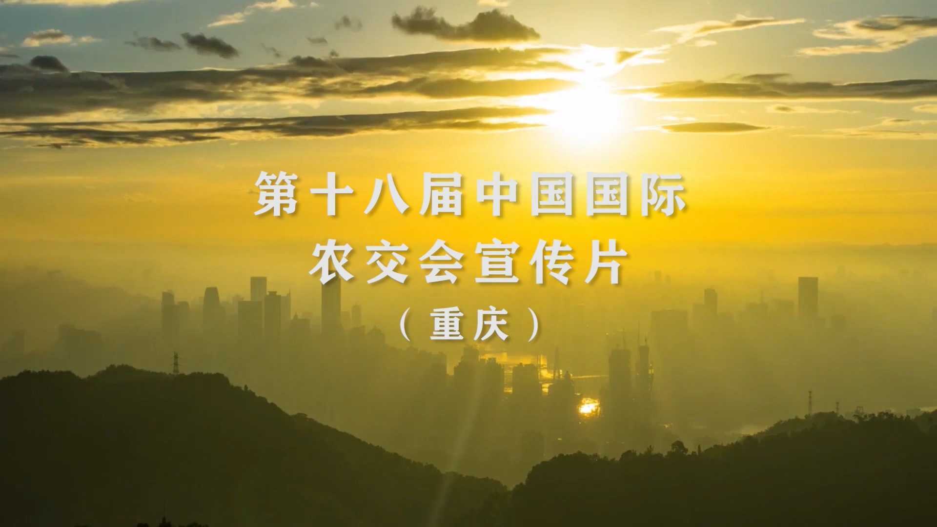 2020年全国农交会重庆农委宣传片
