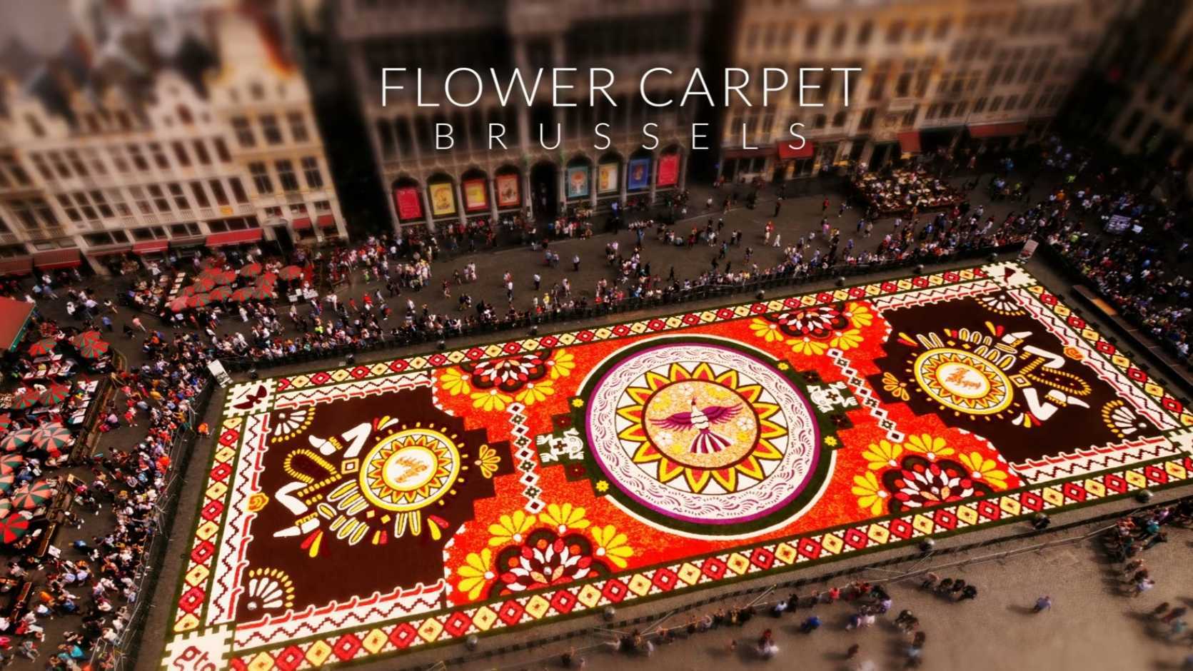 超可爱移轴摄影短片《布鲁塞尔花毯》