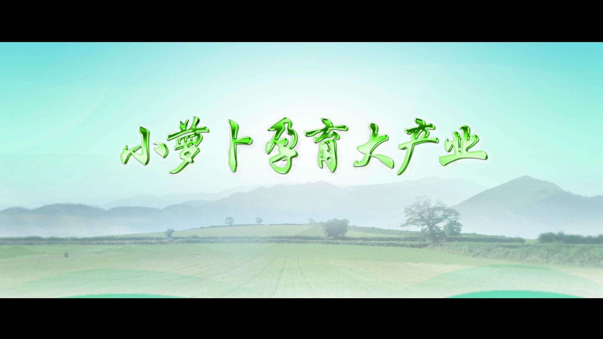 潍坊萝卜宣传片