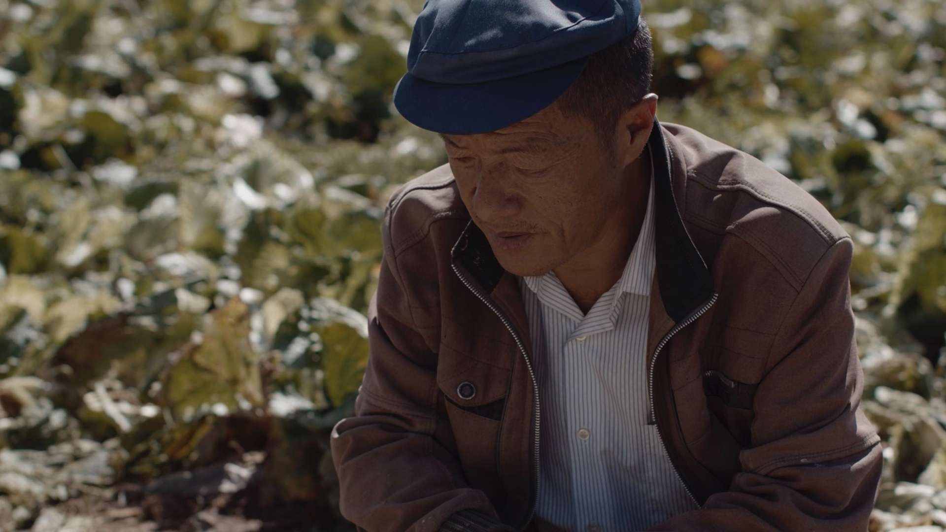 中国农业发展银行贵州省分行脱贫攻坚短片-「负重致远」
