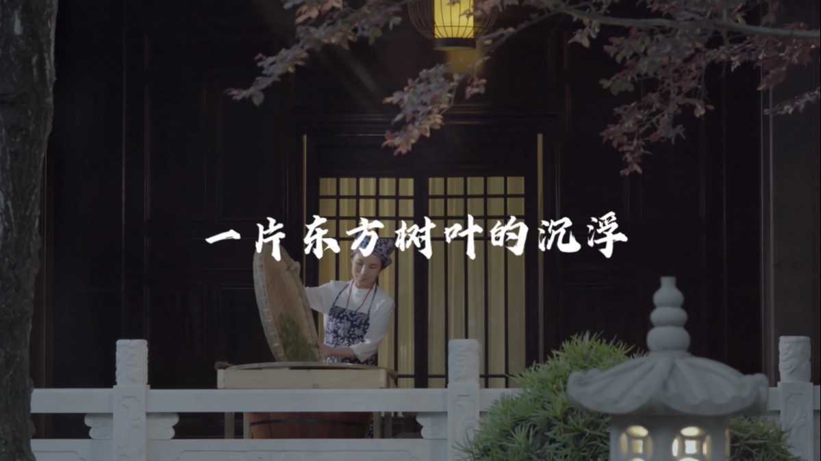 道家茶纪录片《一片东方树叶的沉浮》