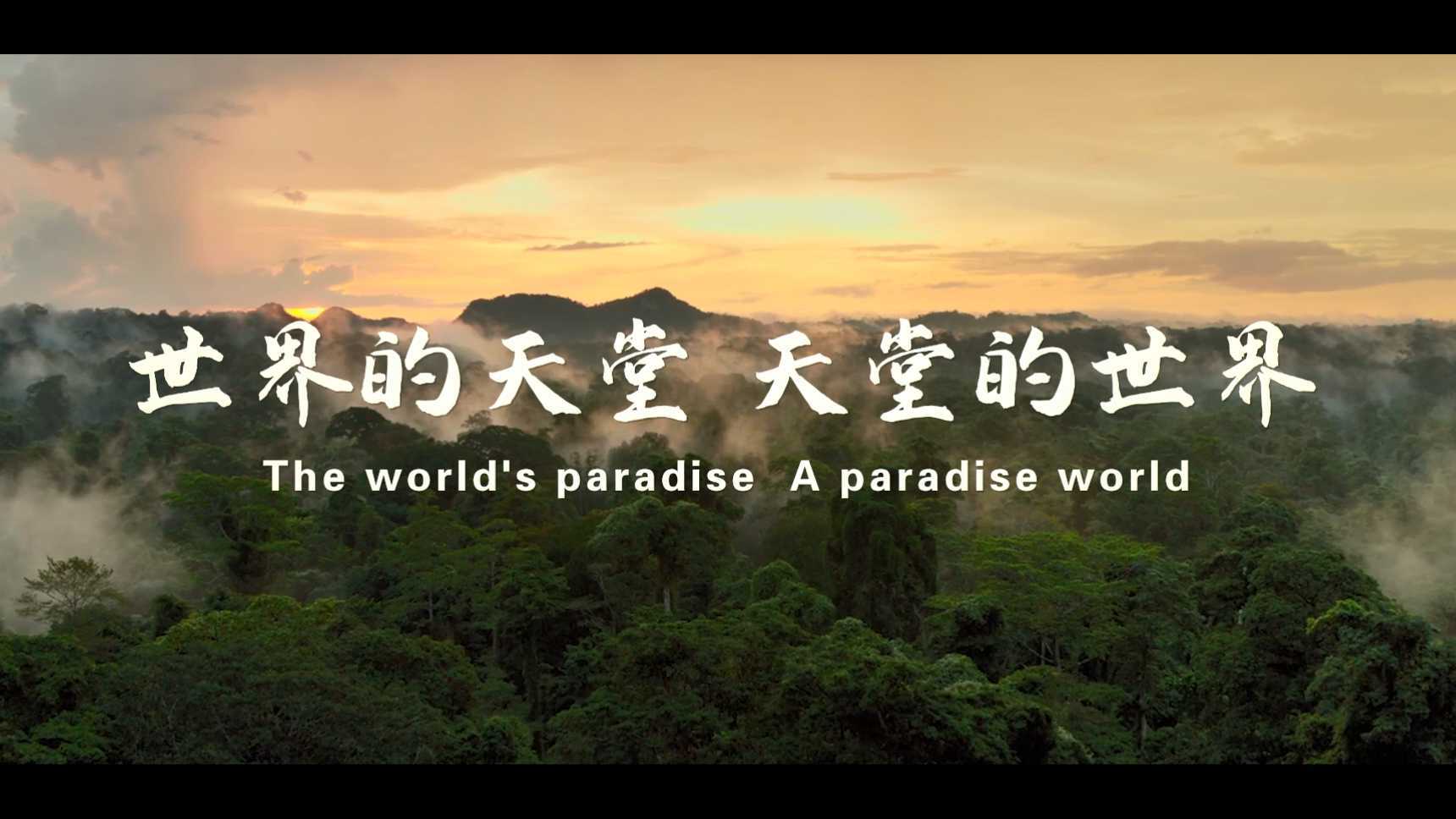 世界的天堂  天堂的世界——普洱招商宣传片
