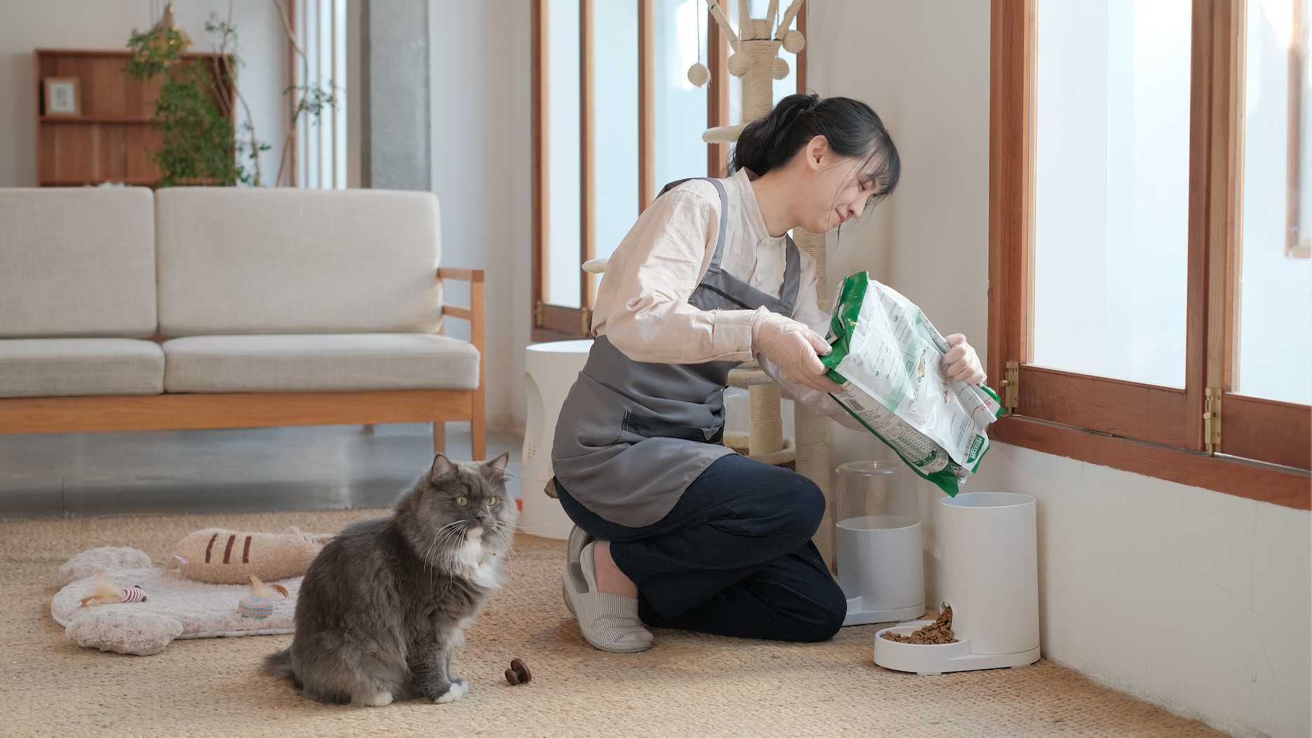 产品广告 ｜家政服务 —— 宠物喂养