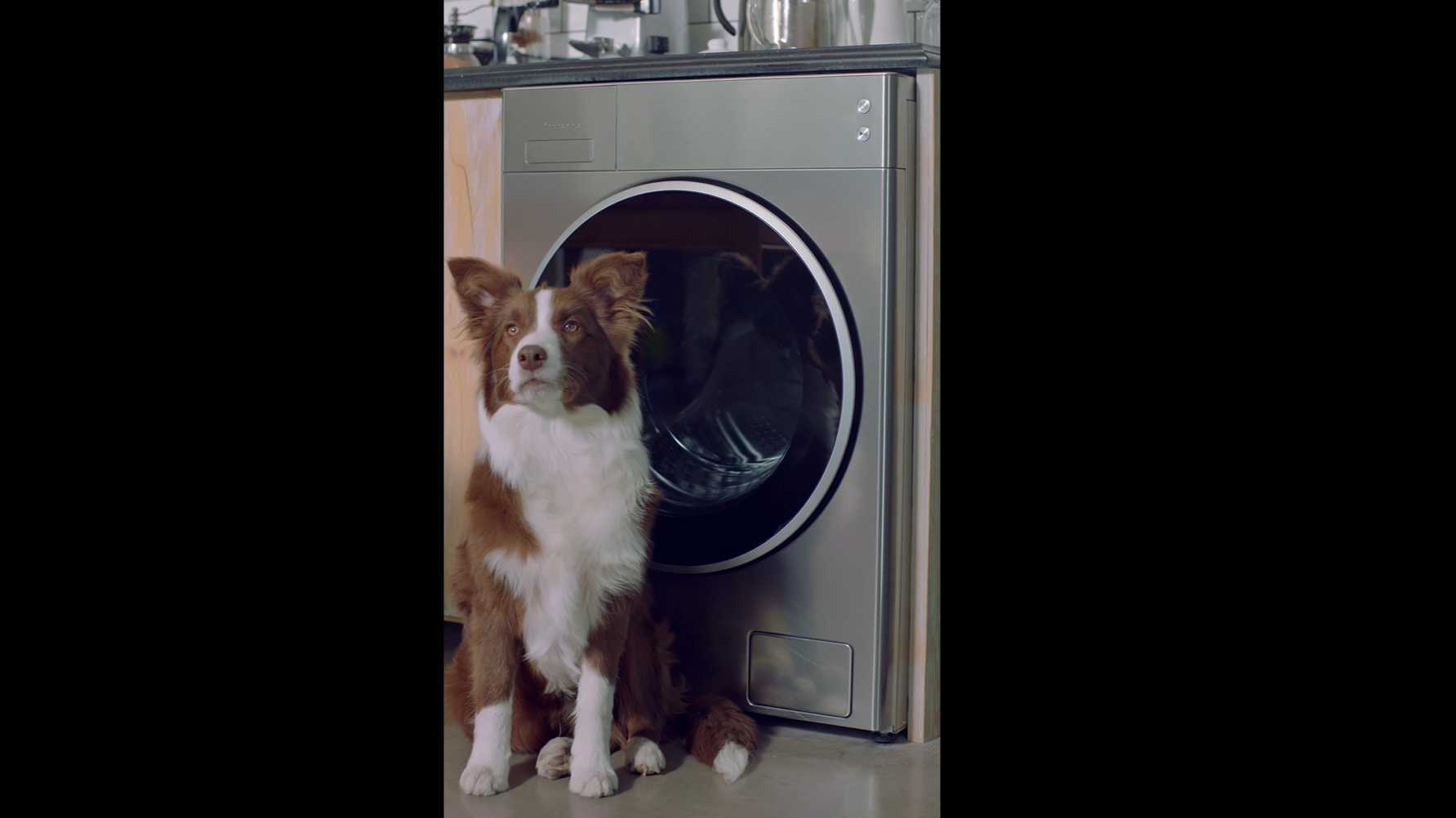 松下洗衣机  带你看看谁才是真正的单身狗