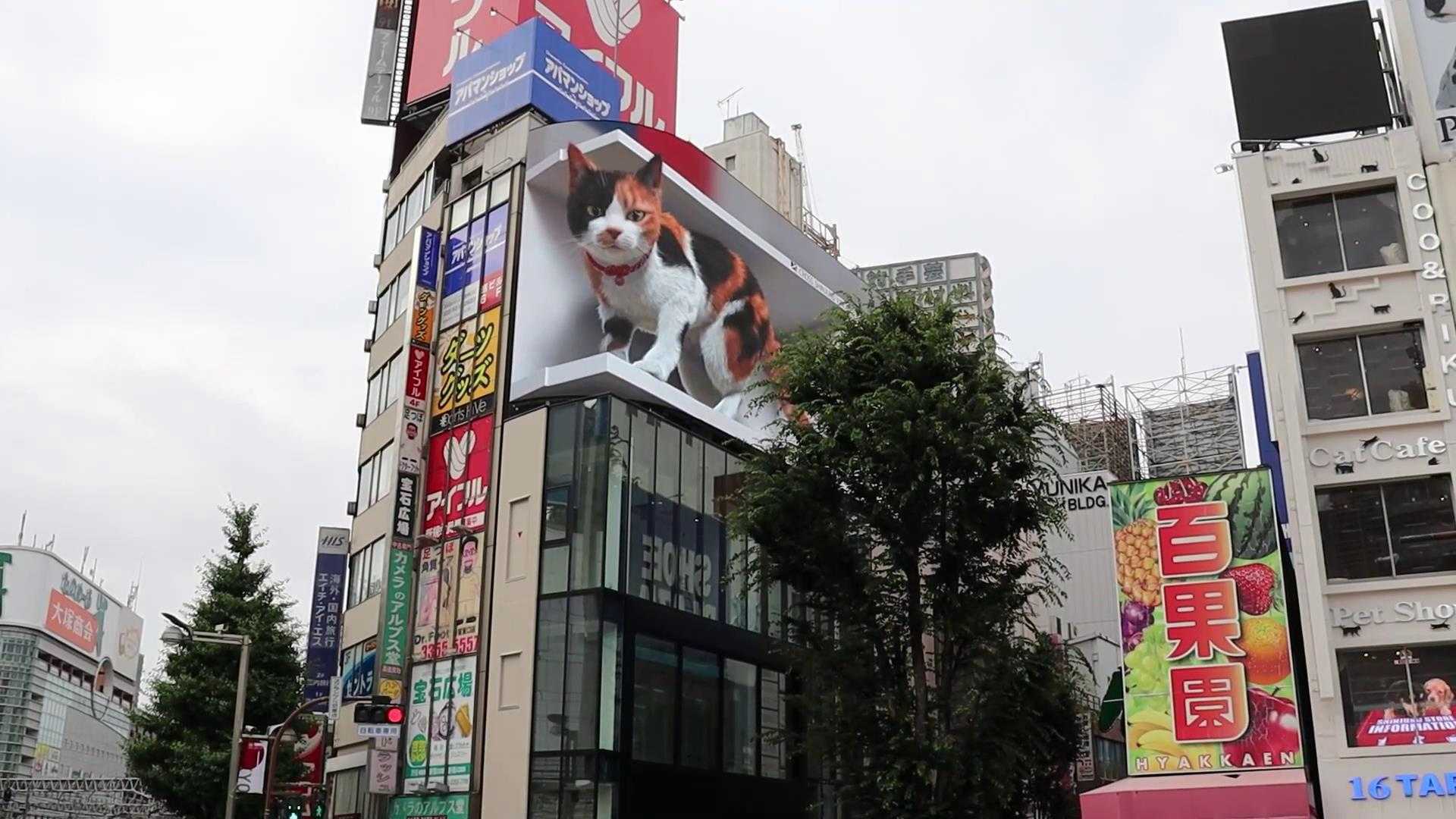 日本惊现巨型3D猫咪《喵星人入侵啦》